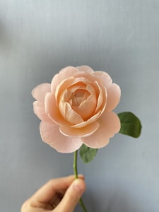 Lavender Velvet Rose