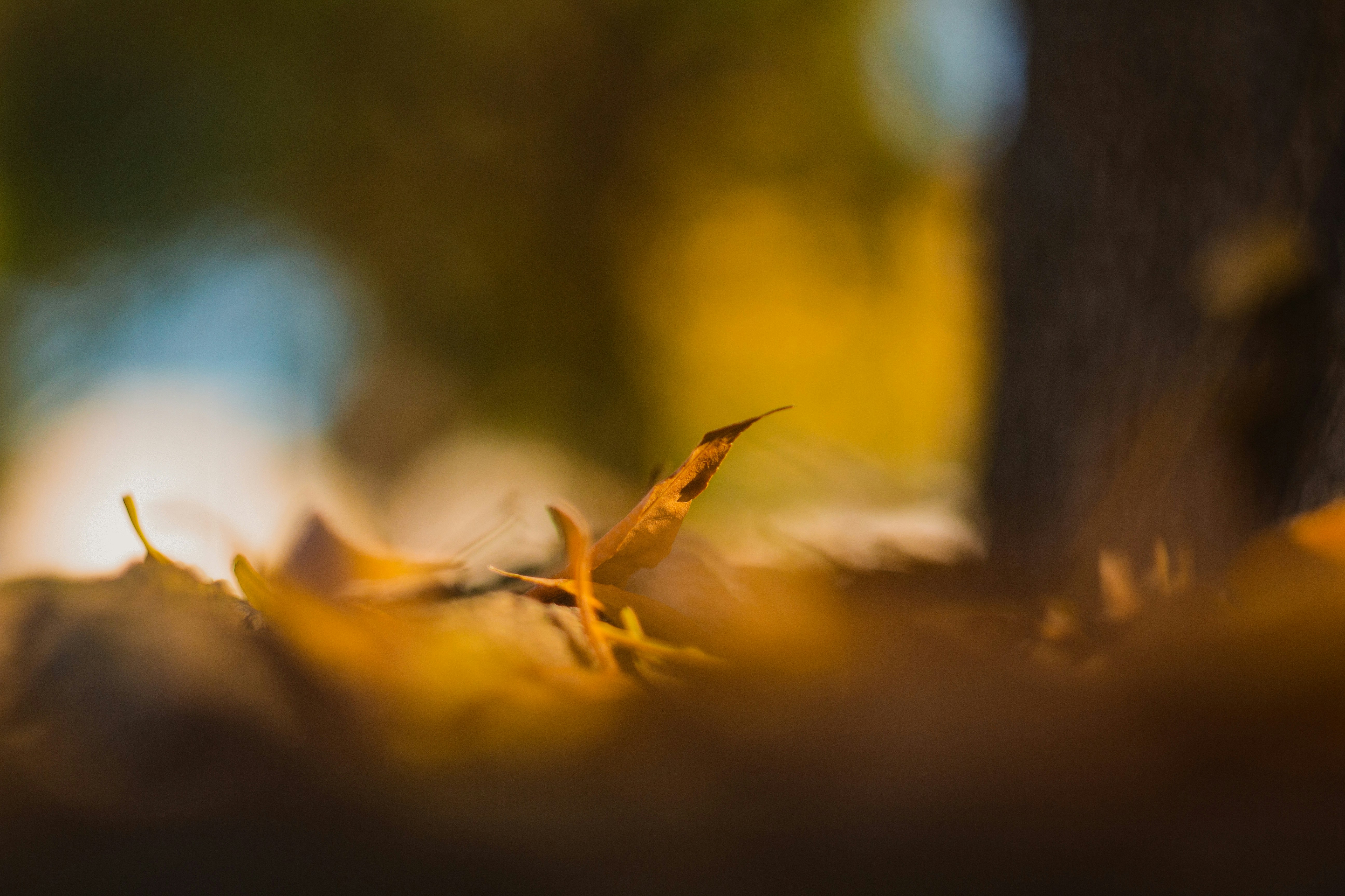 Photo by emmanuelphaeton