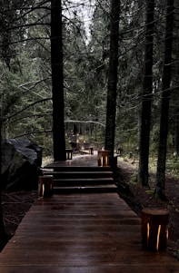 a wooden bridge in a forest