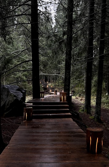a wooden bridge in a forest