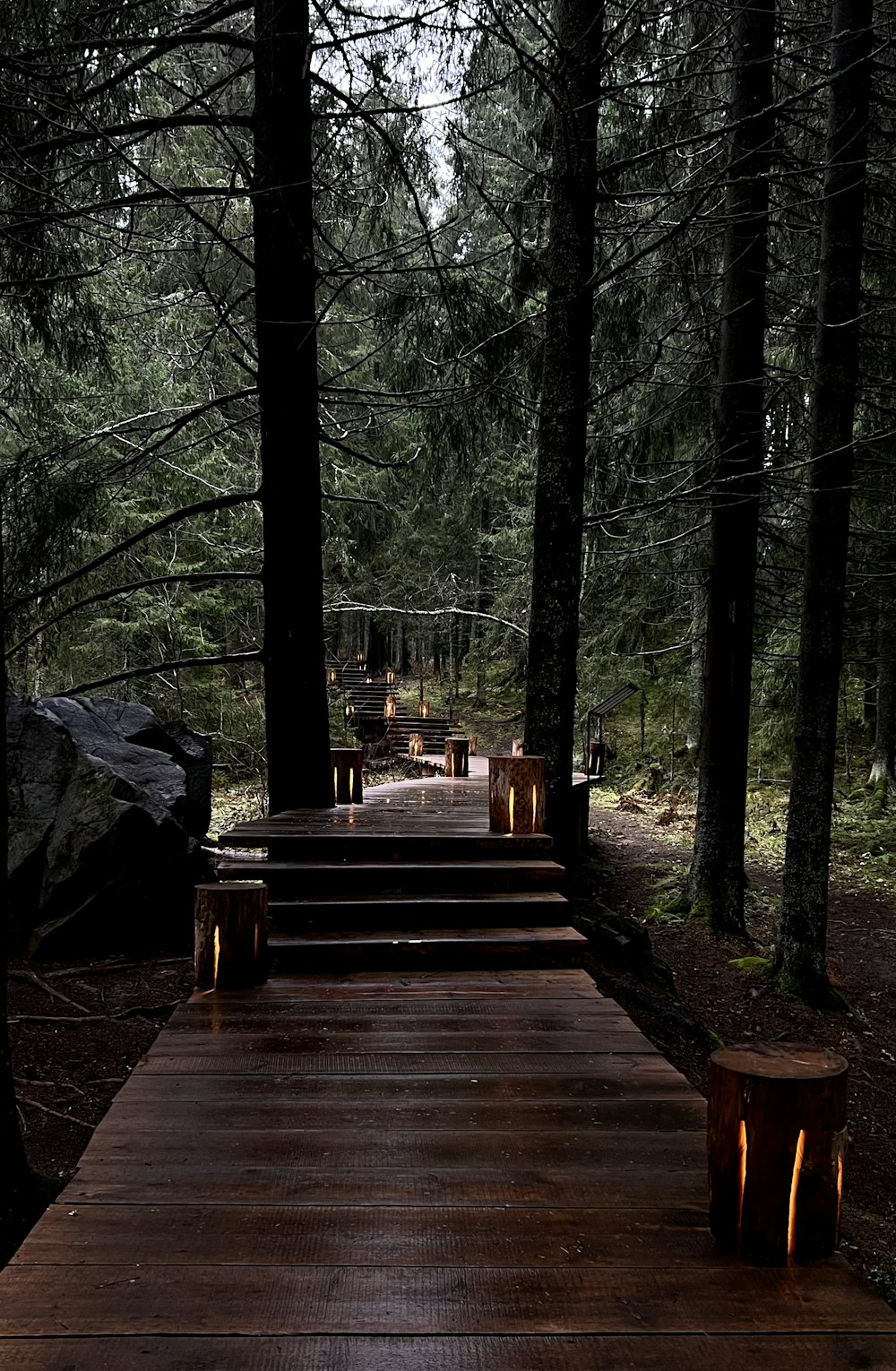 a wooden bridge in a forest