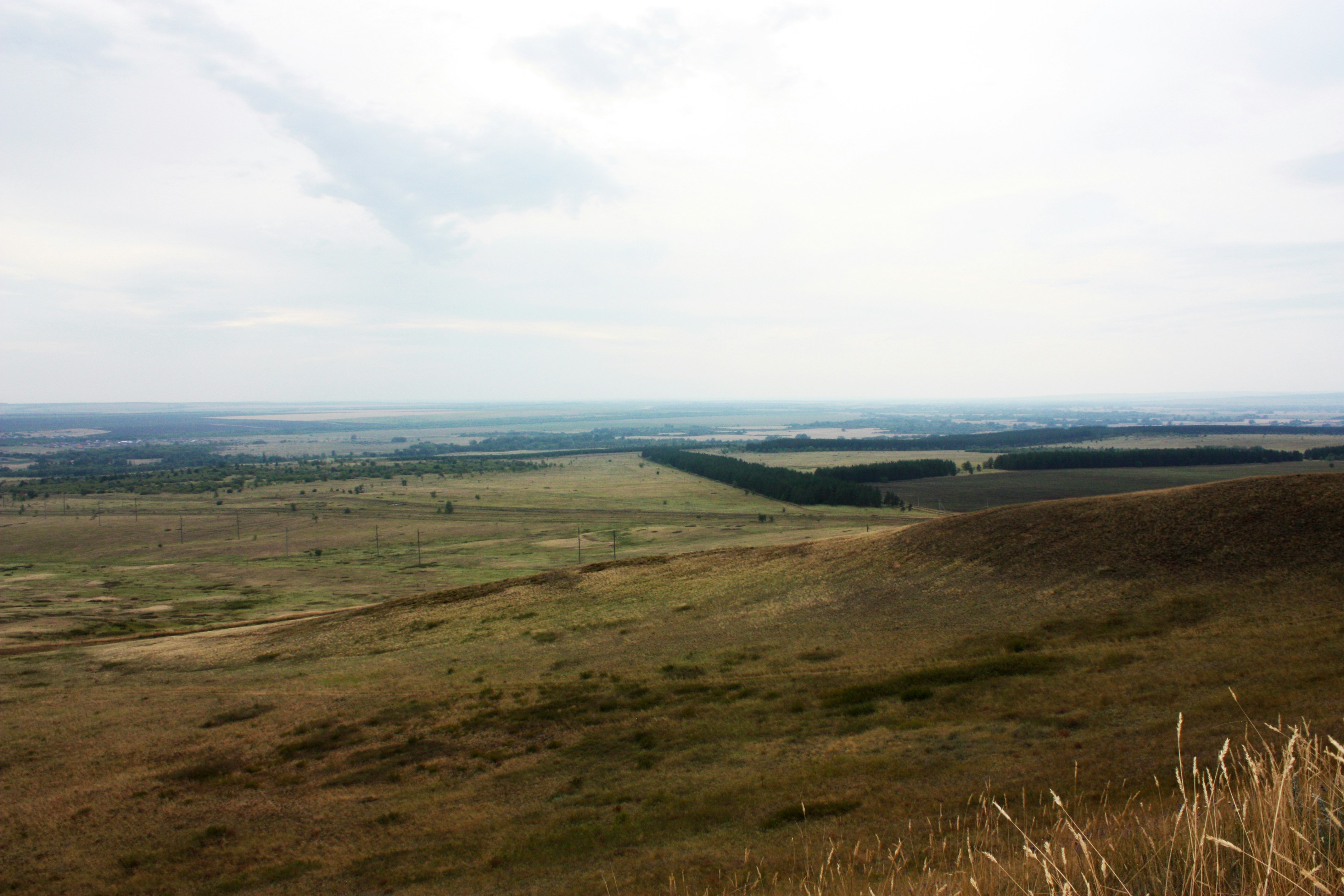 Photo by zhenya_romanova