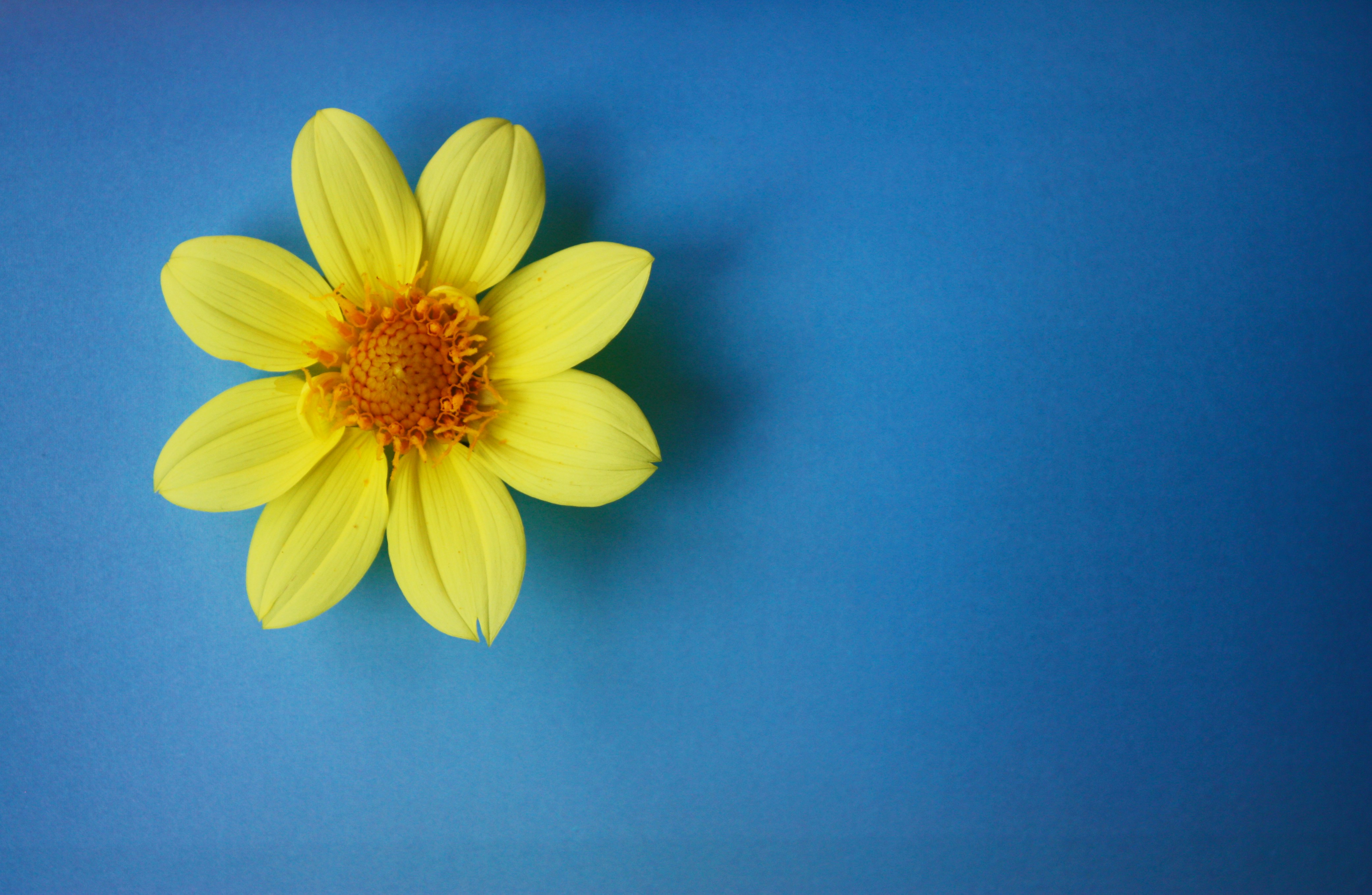 Photo by zhenya_romanova