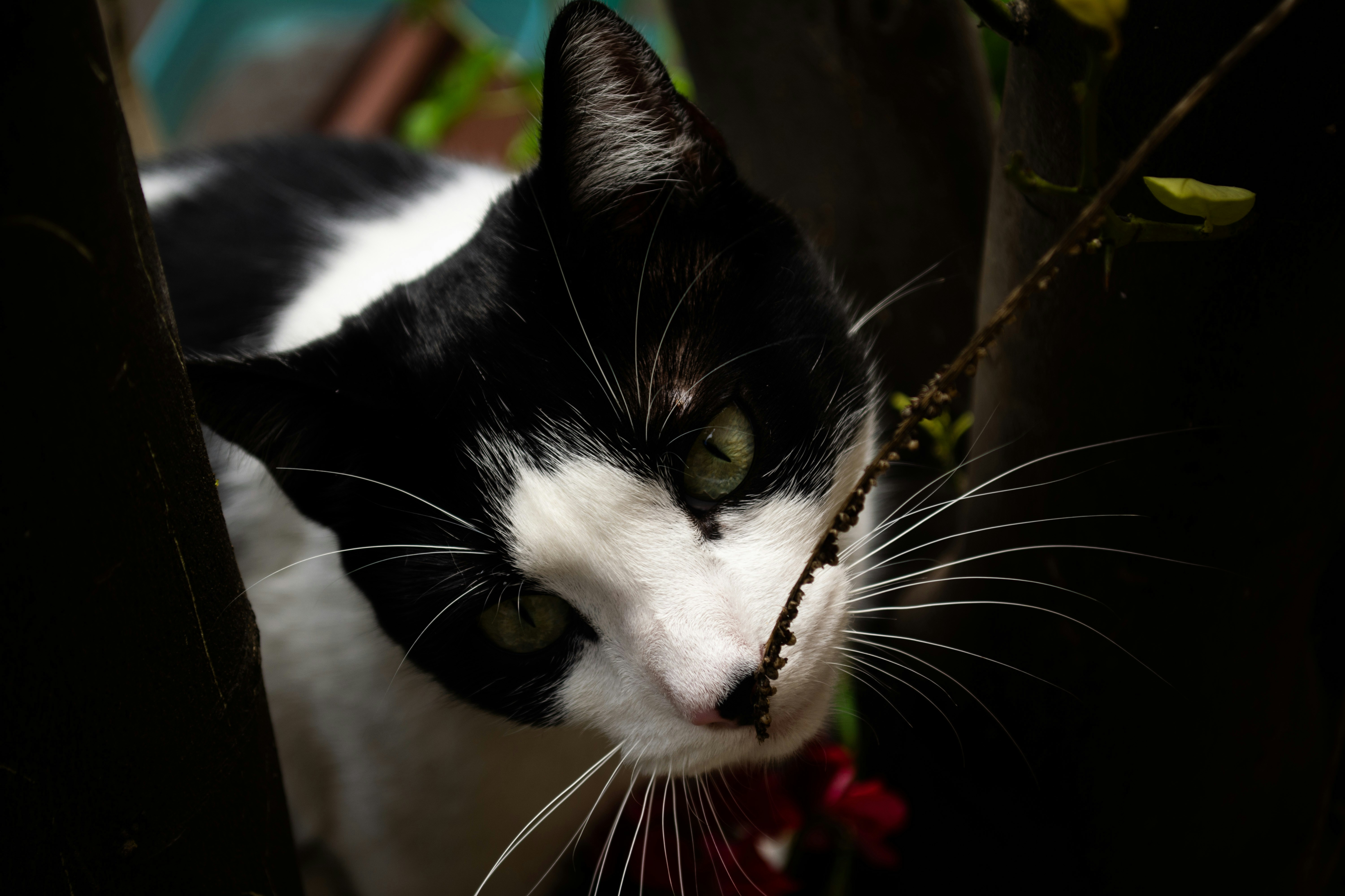 Photo by m_e_r_a__20_