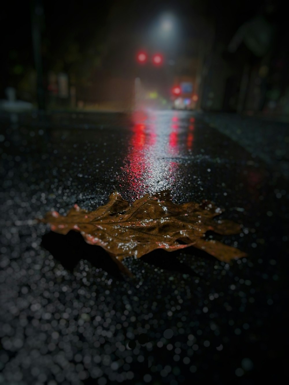 a leaf on a wet surface