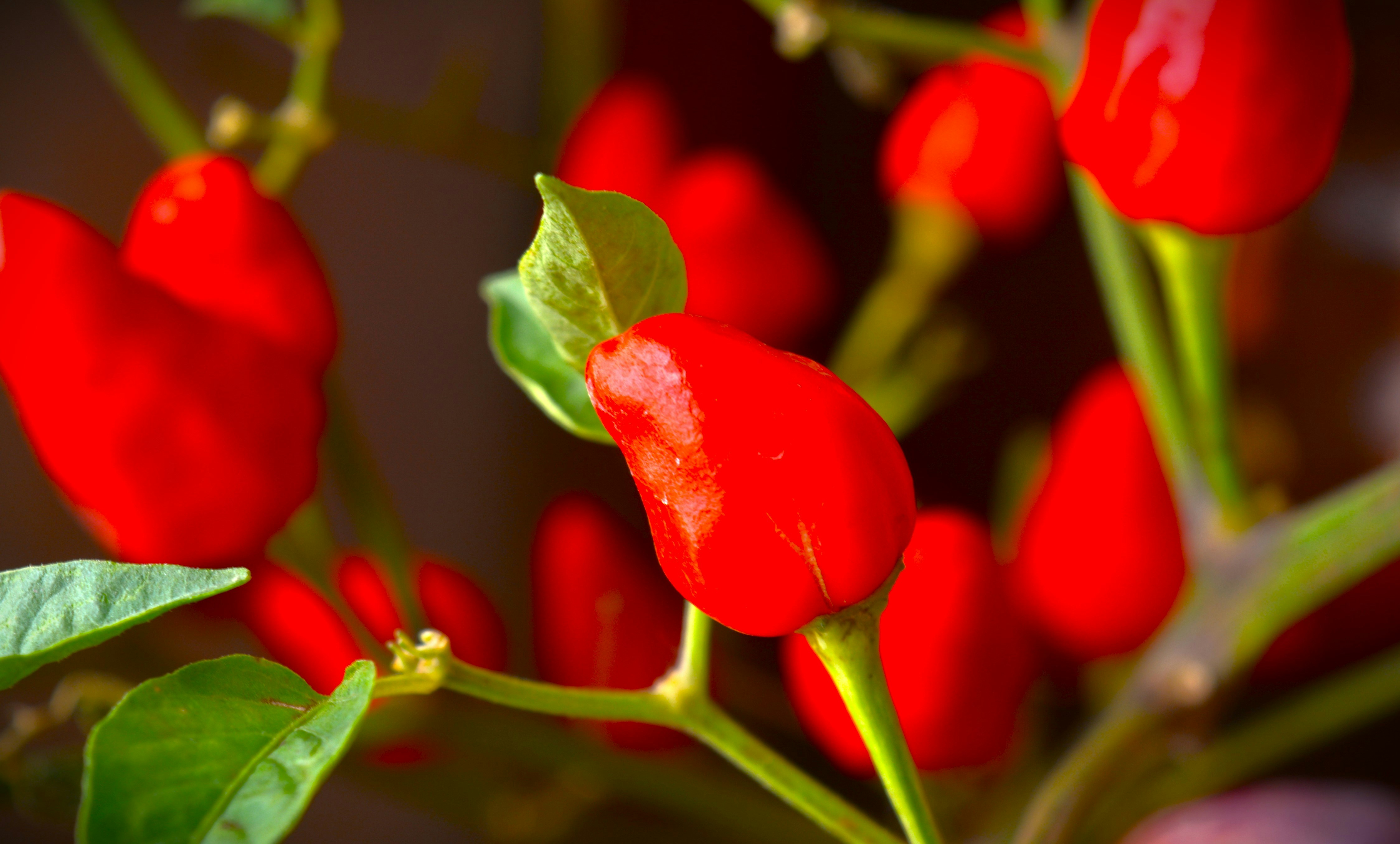 Photo by prithubanerjee