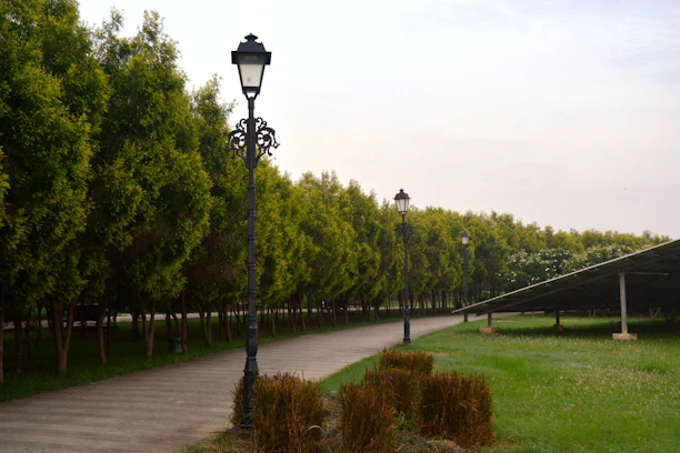 Wide shot of a tree-lined pathway illuminated by Ushine SolarTech solar garden lights under a clear evening sky.