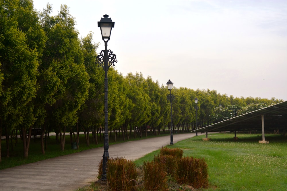 a path with a lamp post and trees on the side