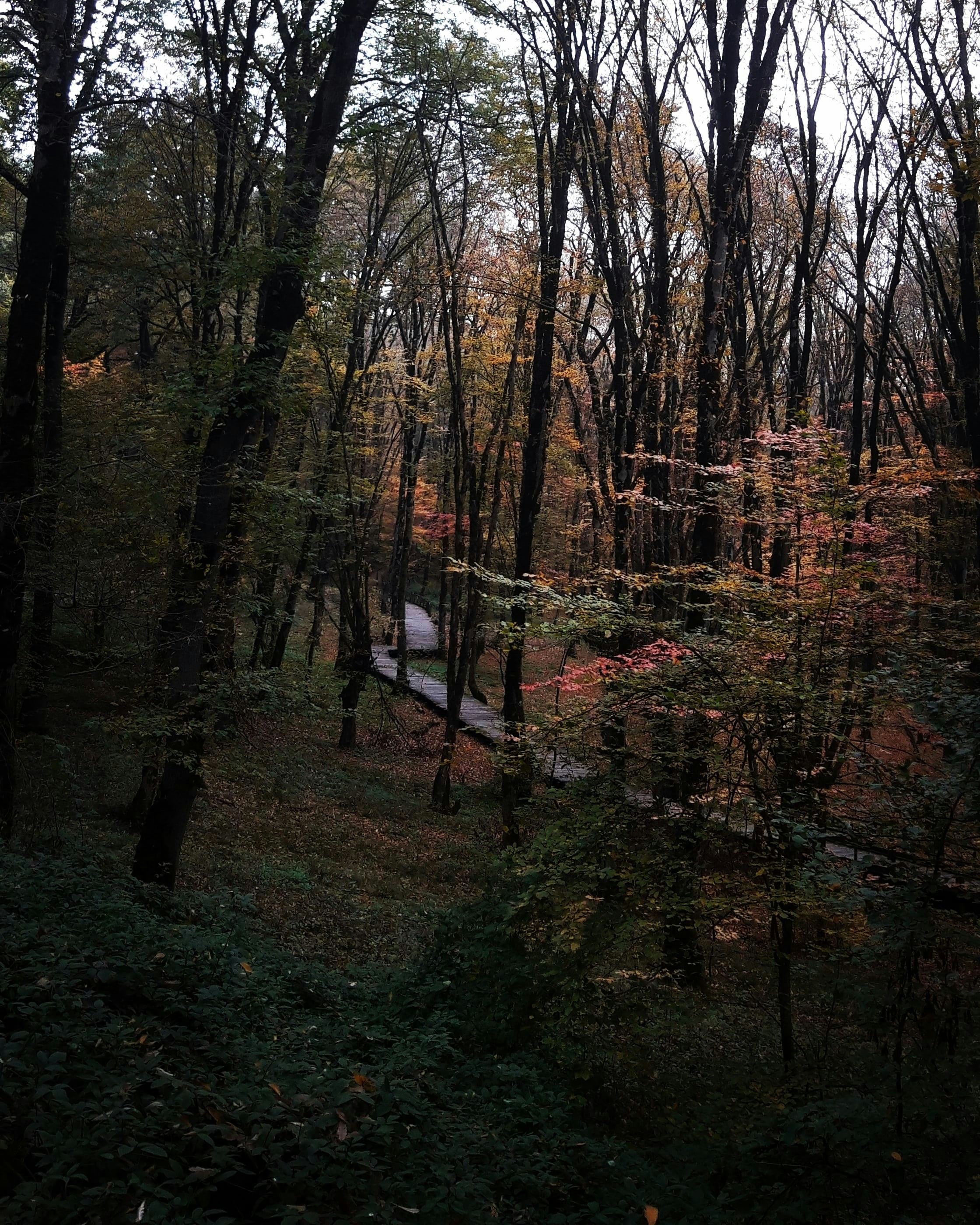 Photo by arman96