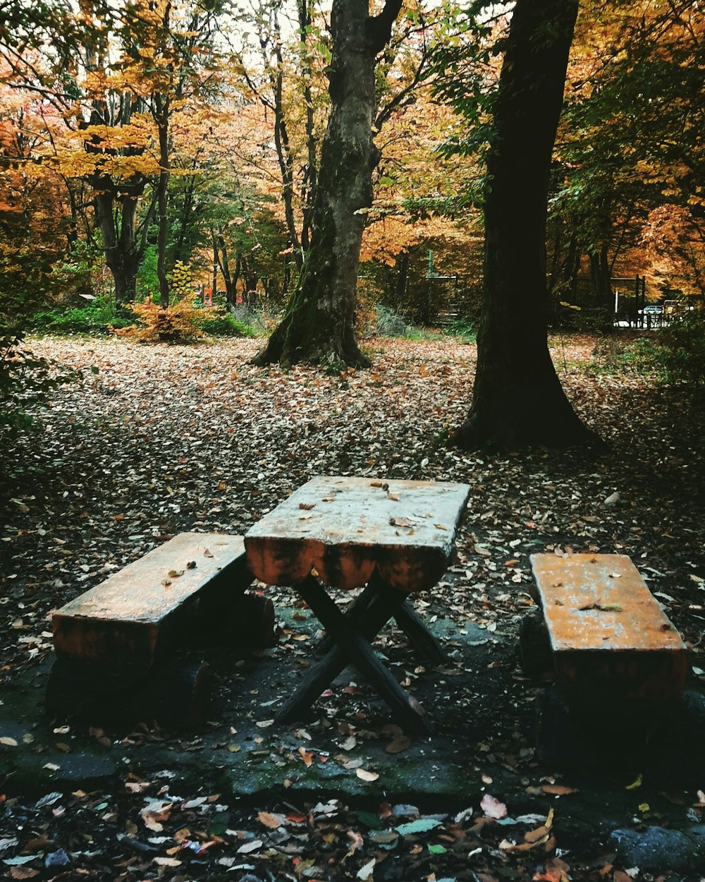 Ein Tisch in einem Park
