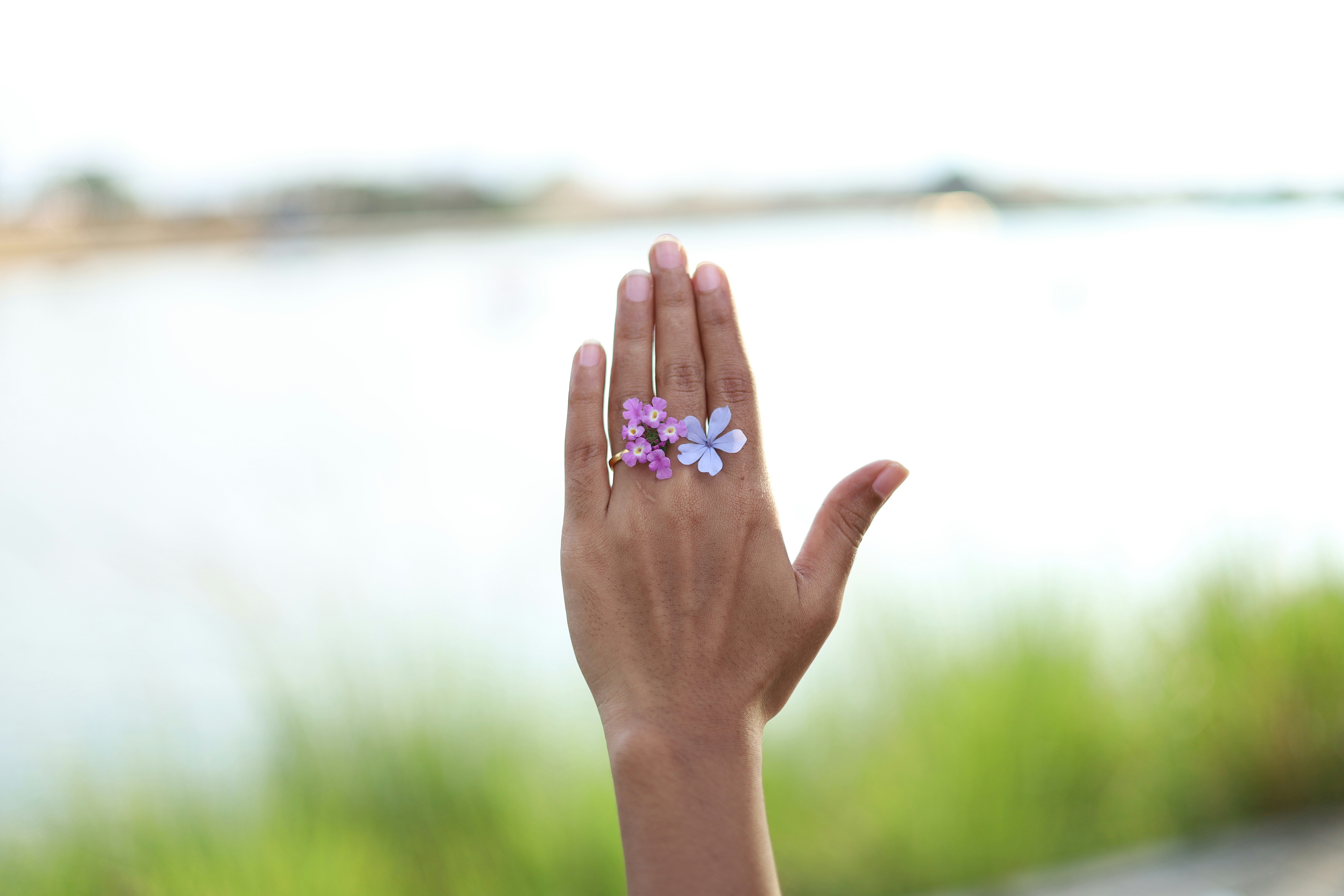 a hand holding a small purple flower