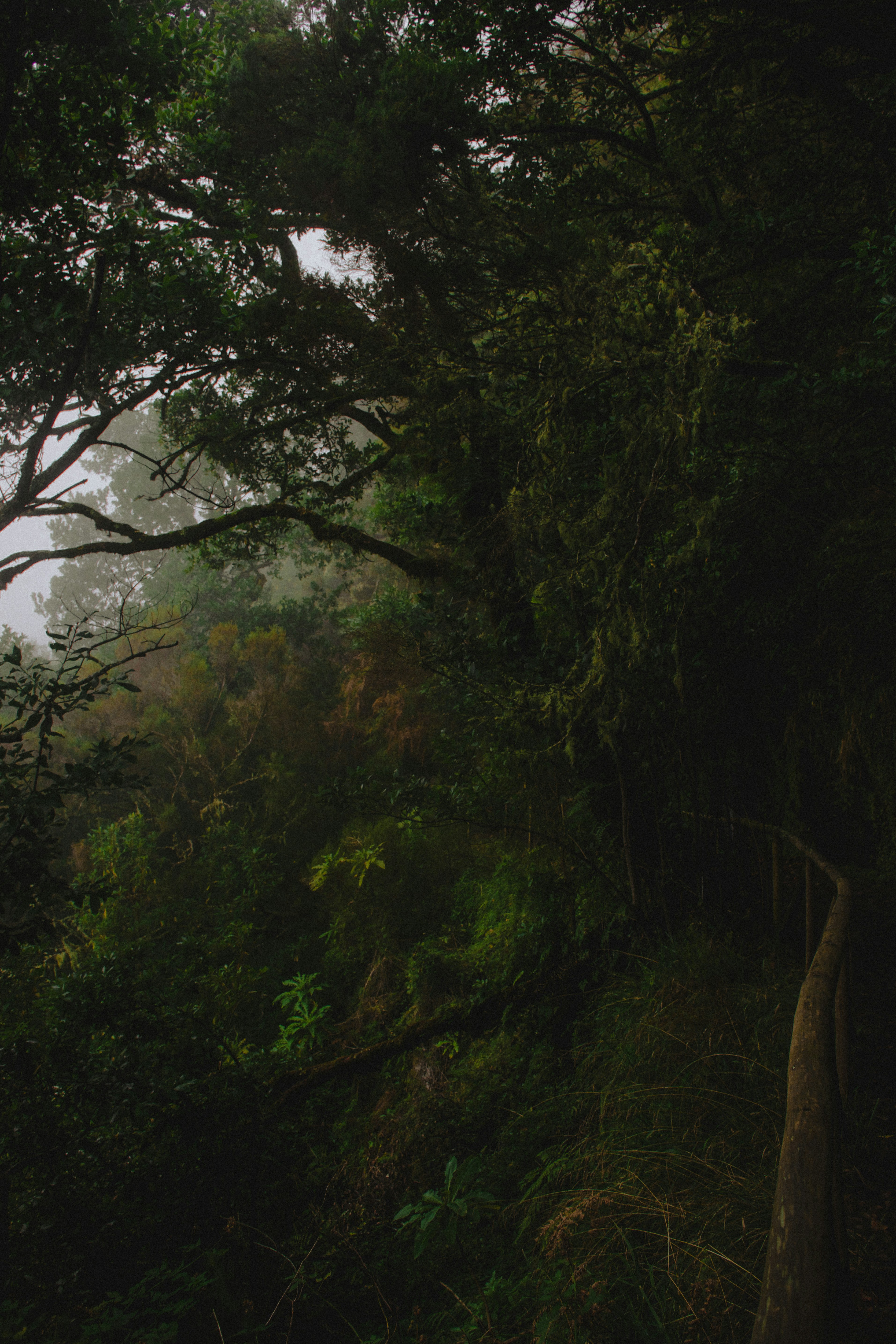 Photo by wheresalina