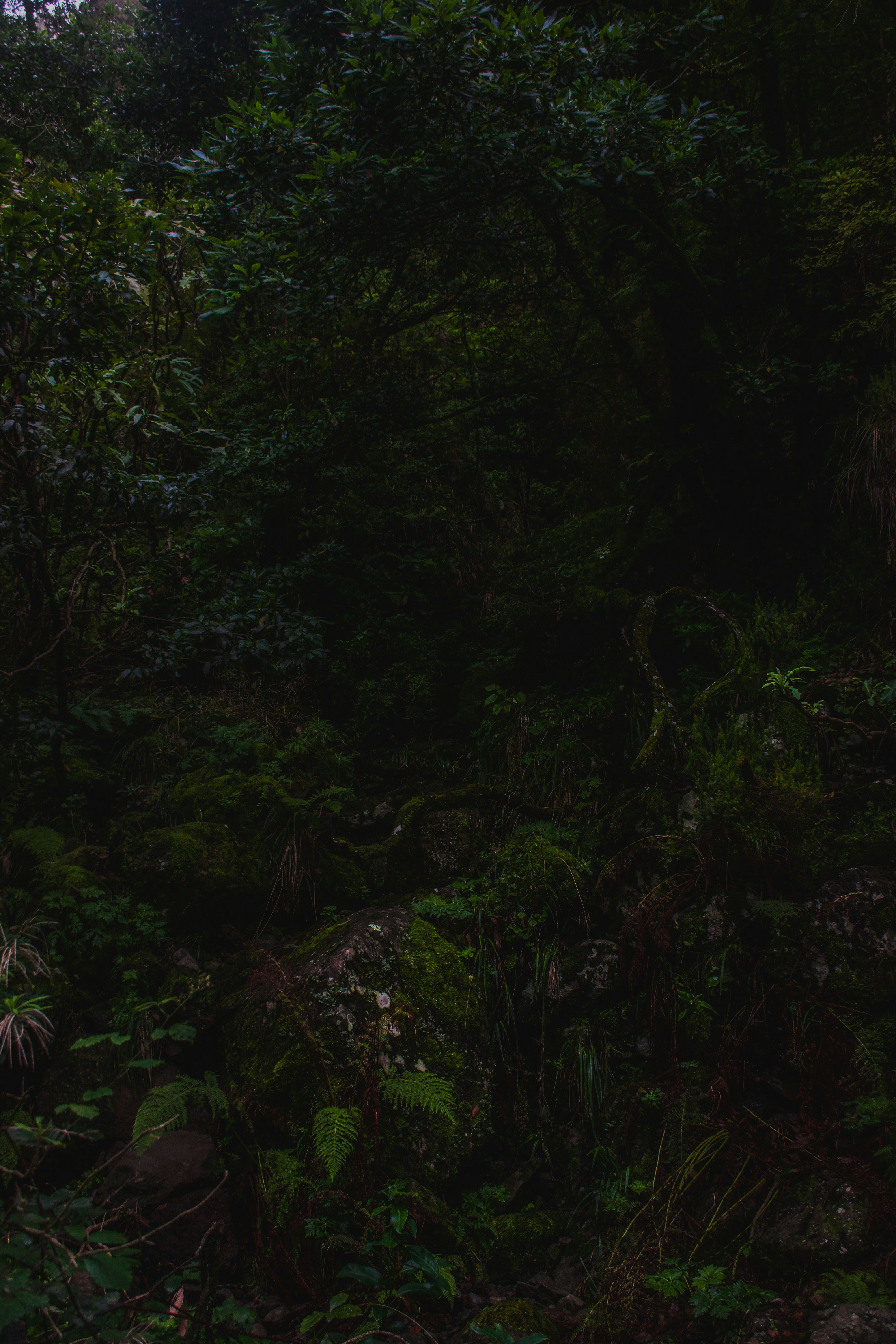 Photo by wheresalina