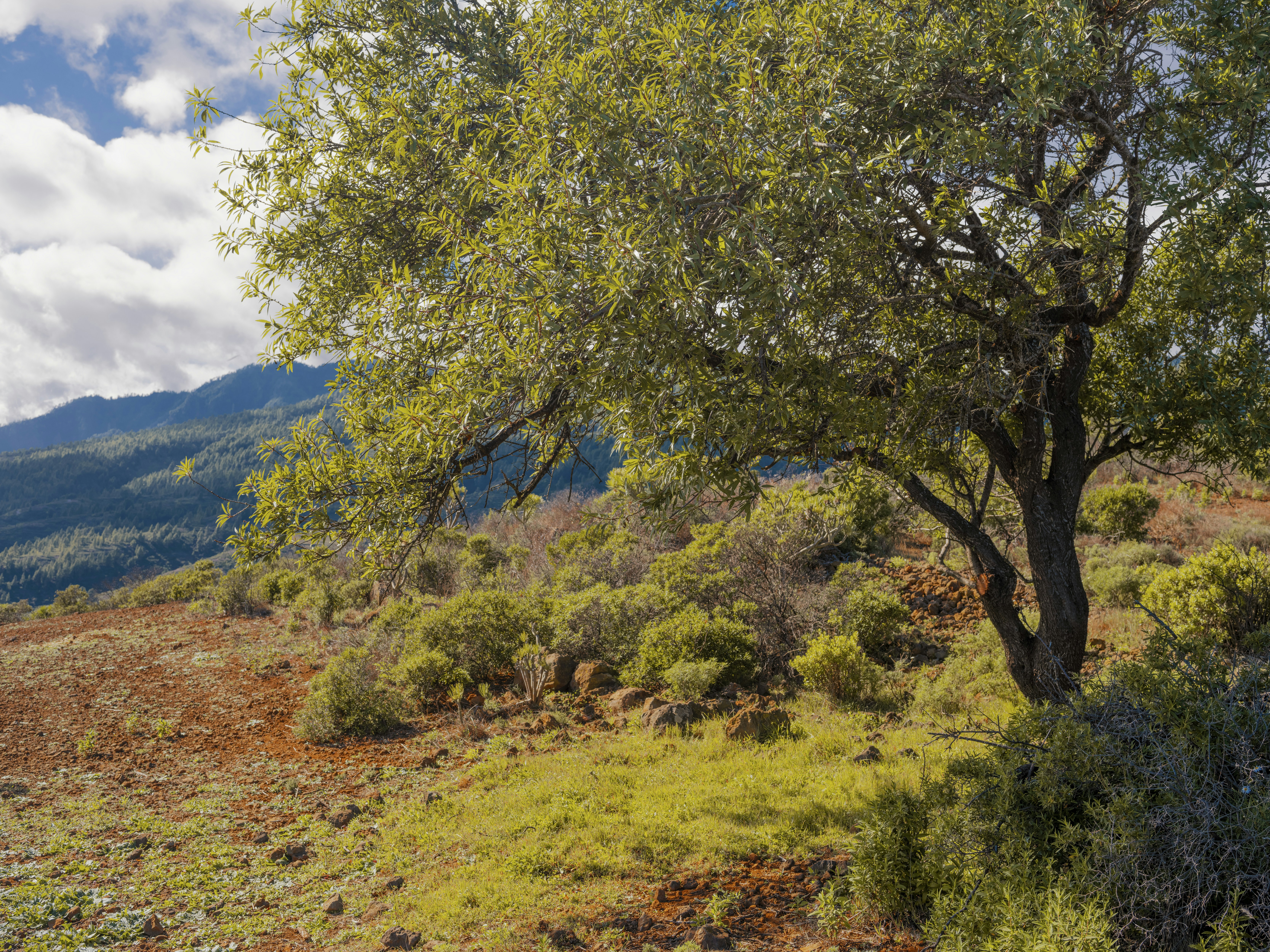 Photo by christianbuehner