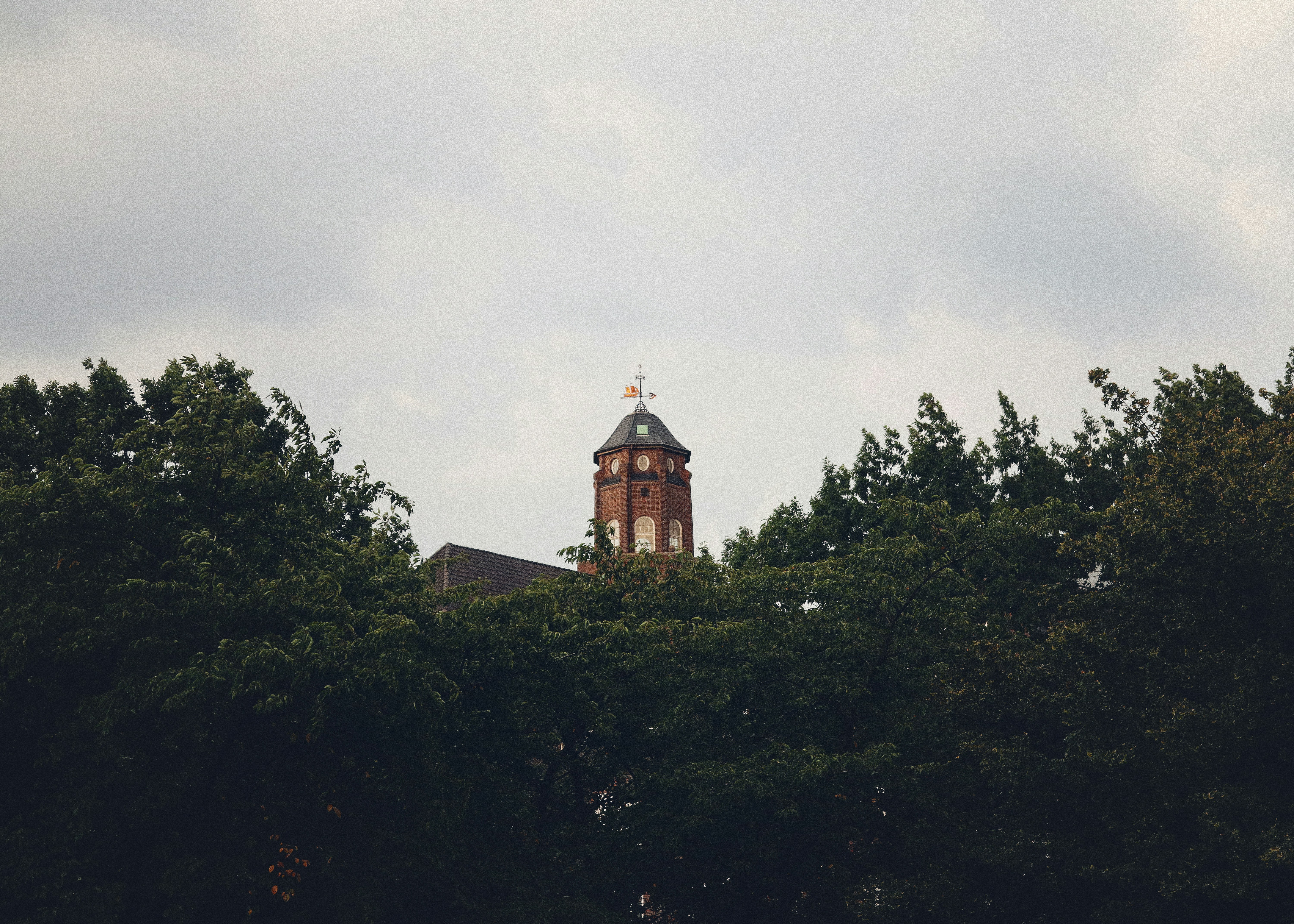 Photo by tolikrurac82