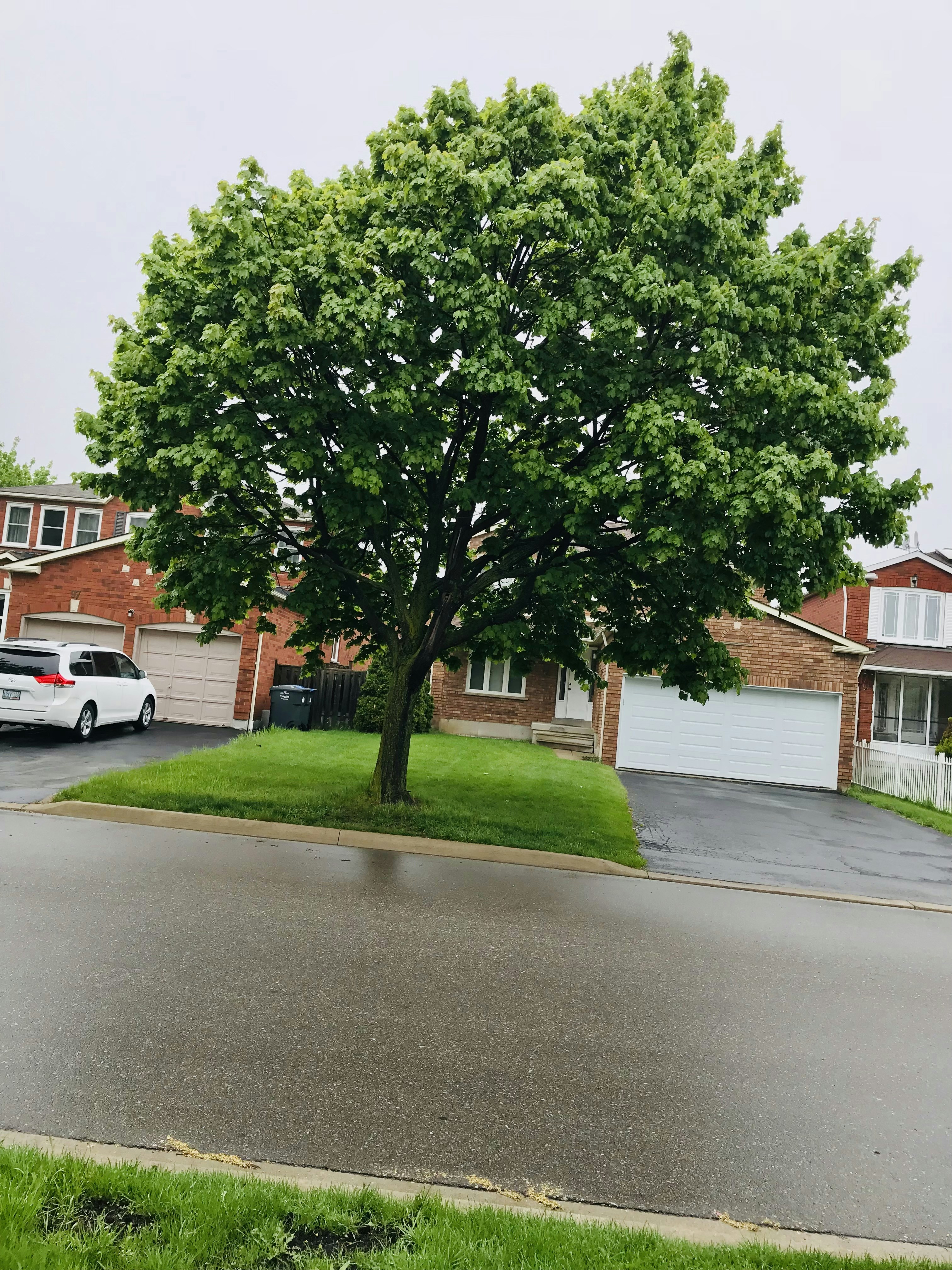 Brick ranch house garage mature trees overcast quiet residential street