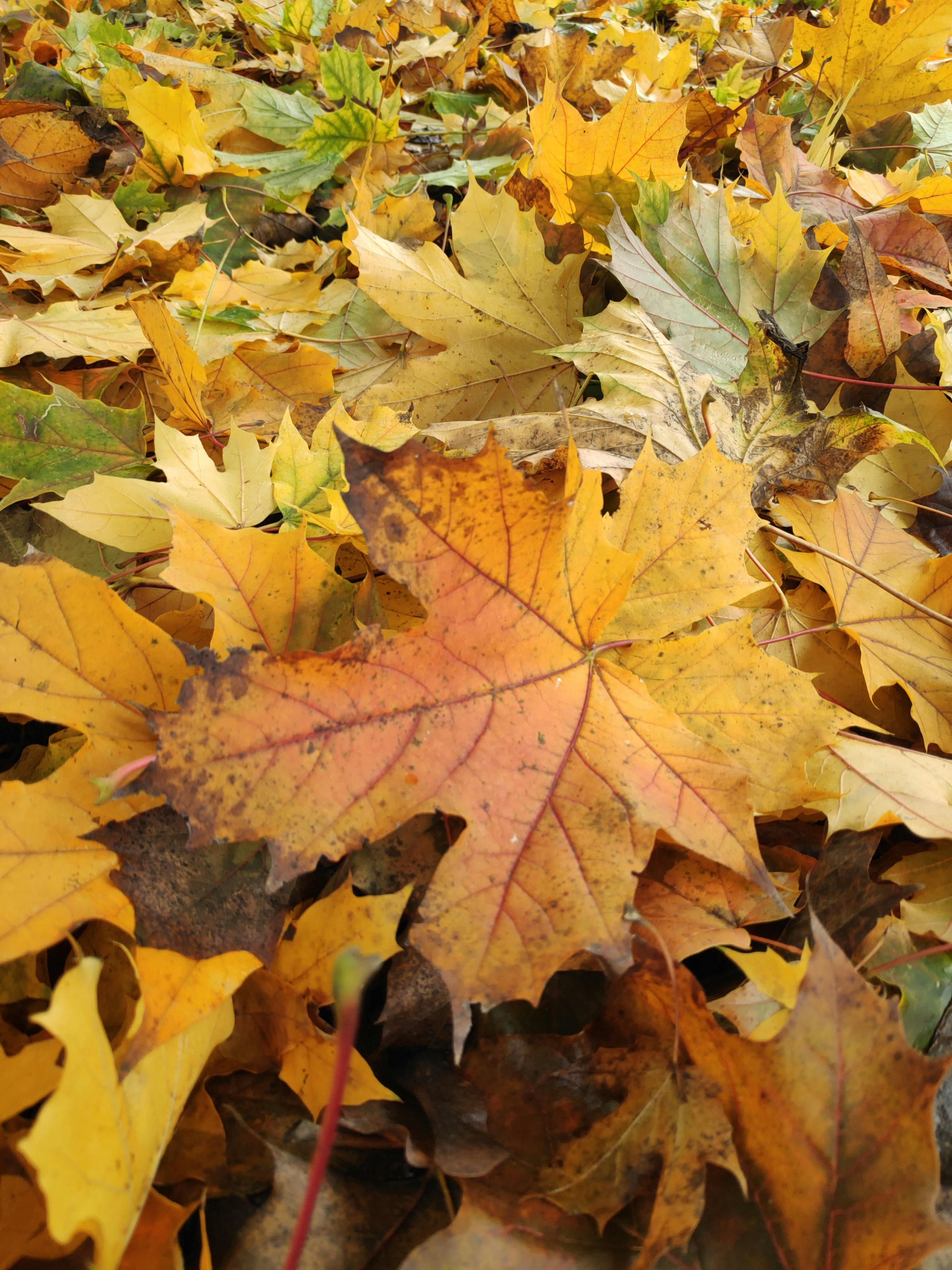 Photo by kristina001