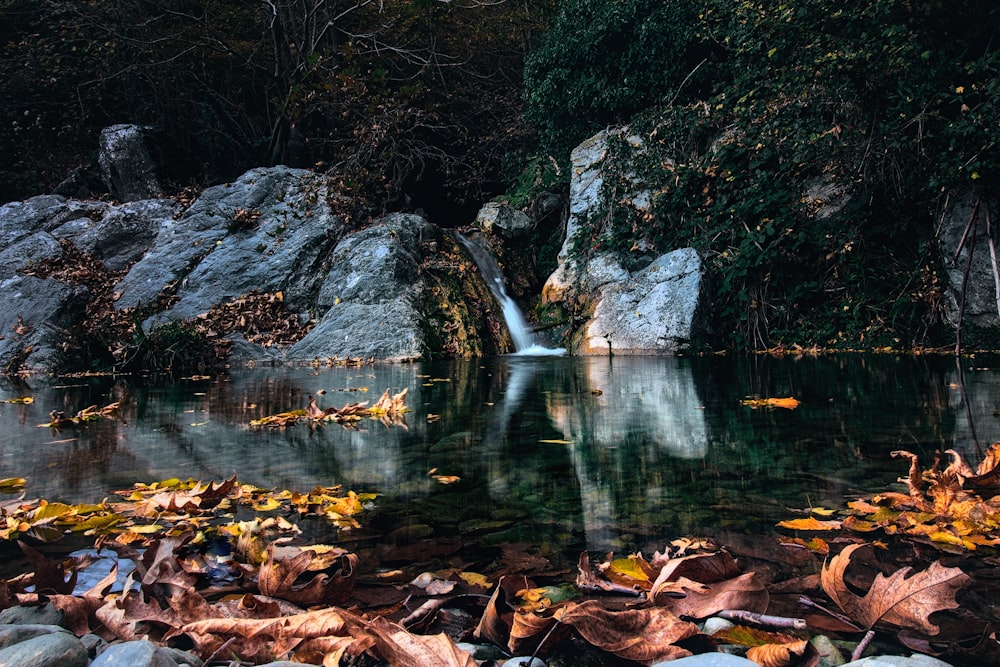 Una pequeña cascada en un bosque