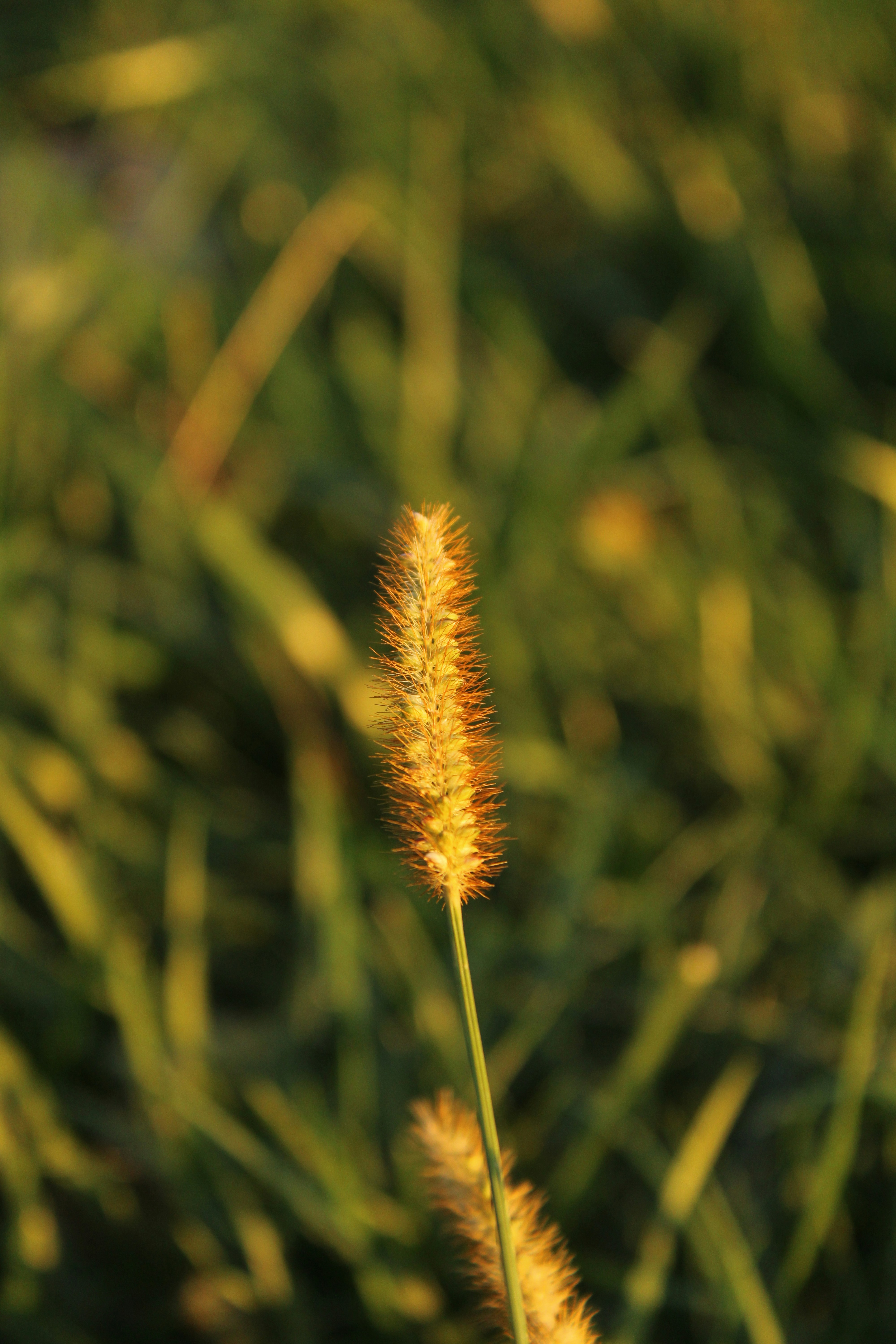 Photo by take_a_picture