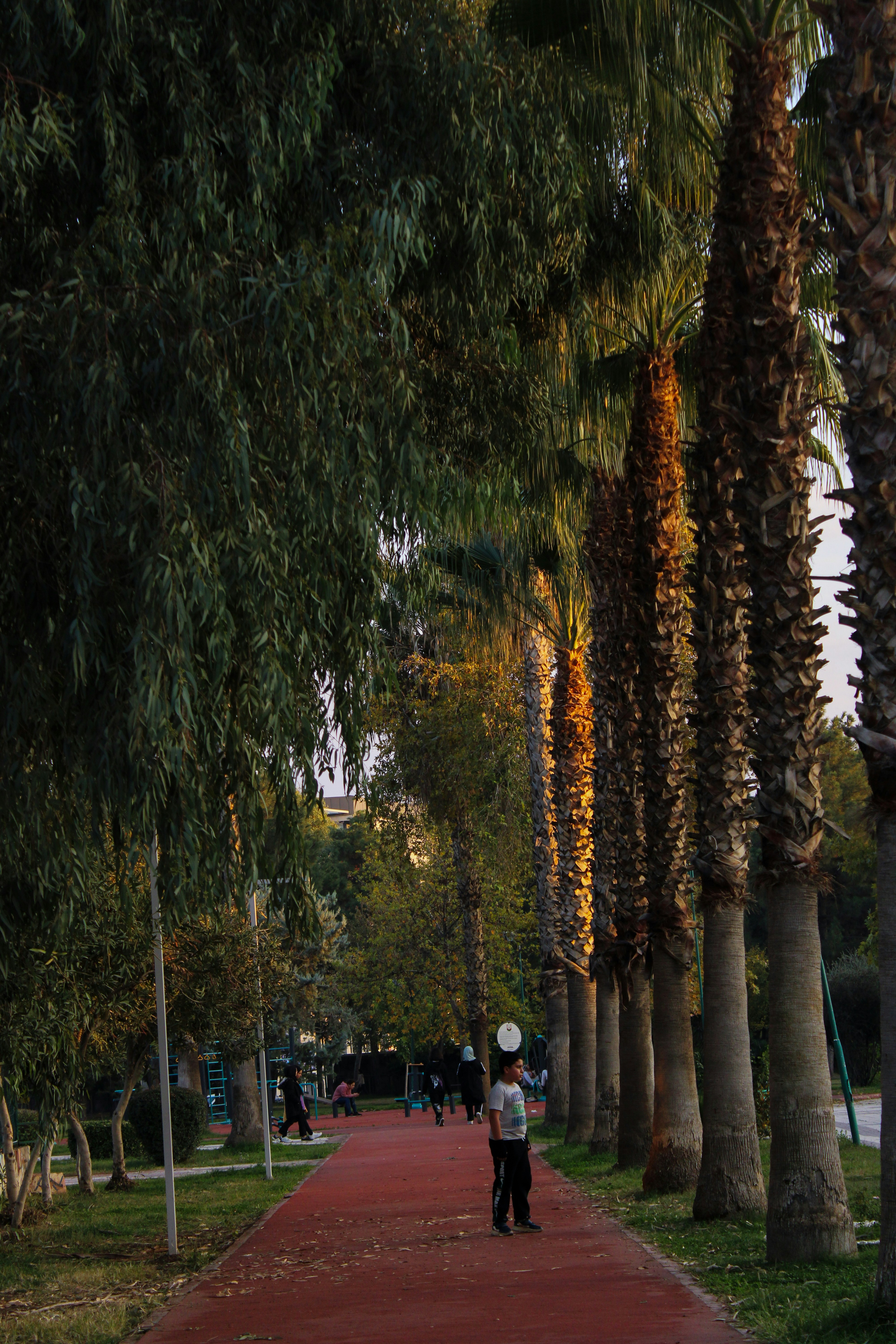 Photo by take_a_picture