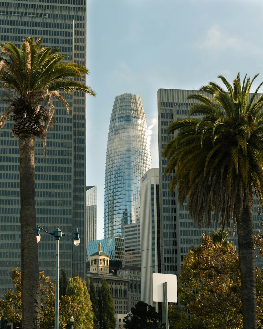 a group of tall buildings