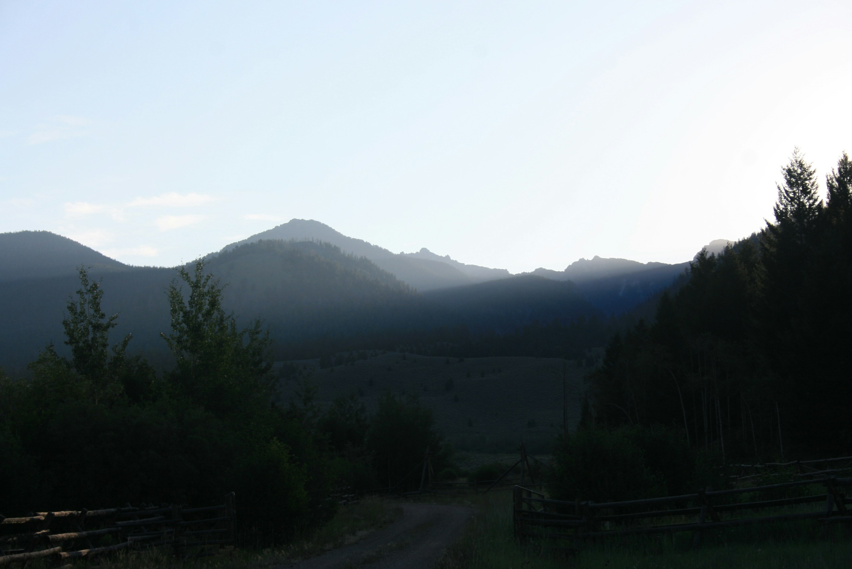 Un paysage avec des arbres et des montagnes en arrière-plan