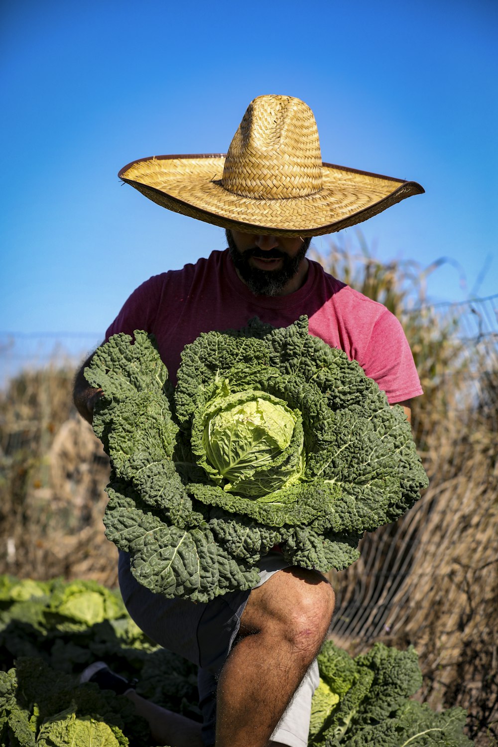 a man holding a large head of lettuce