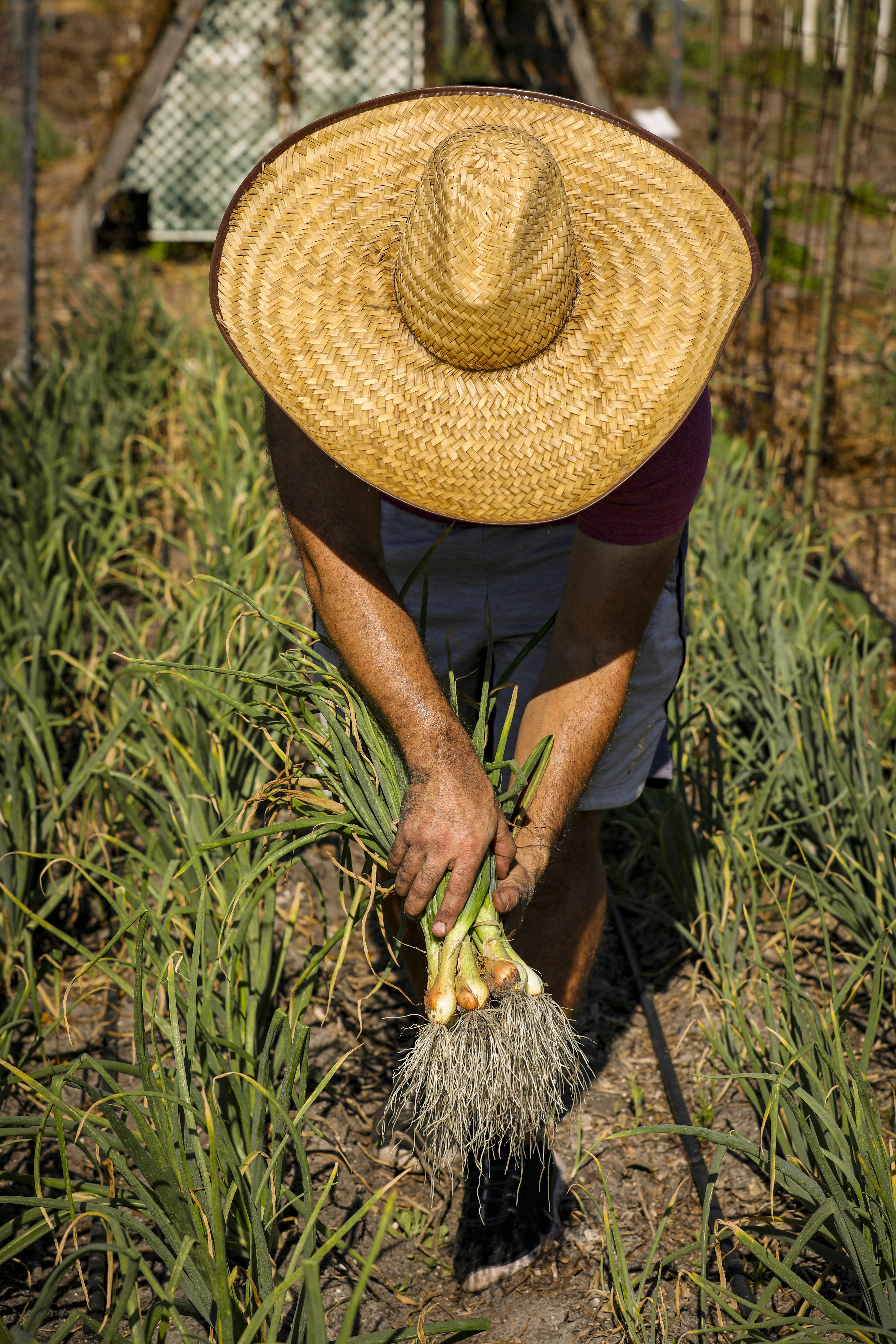 Photo by rocinante_11