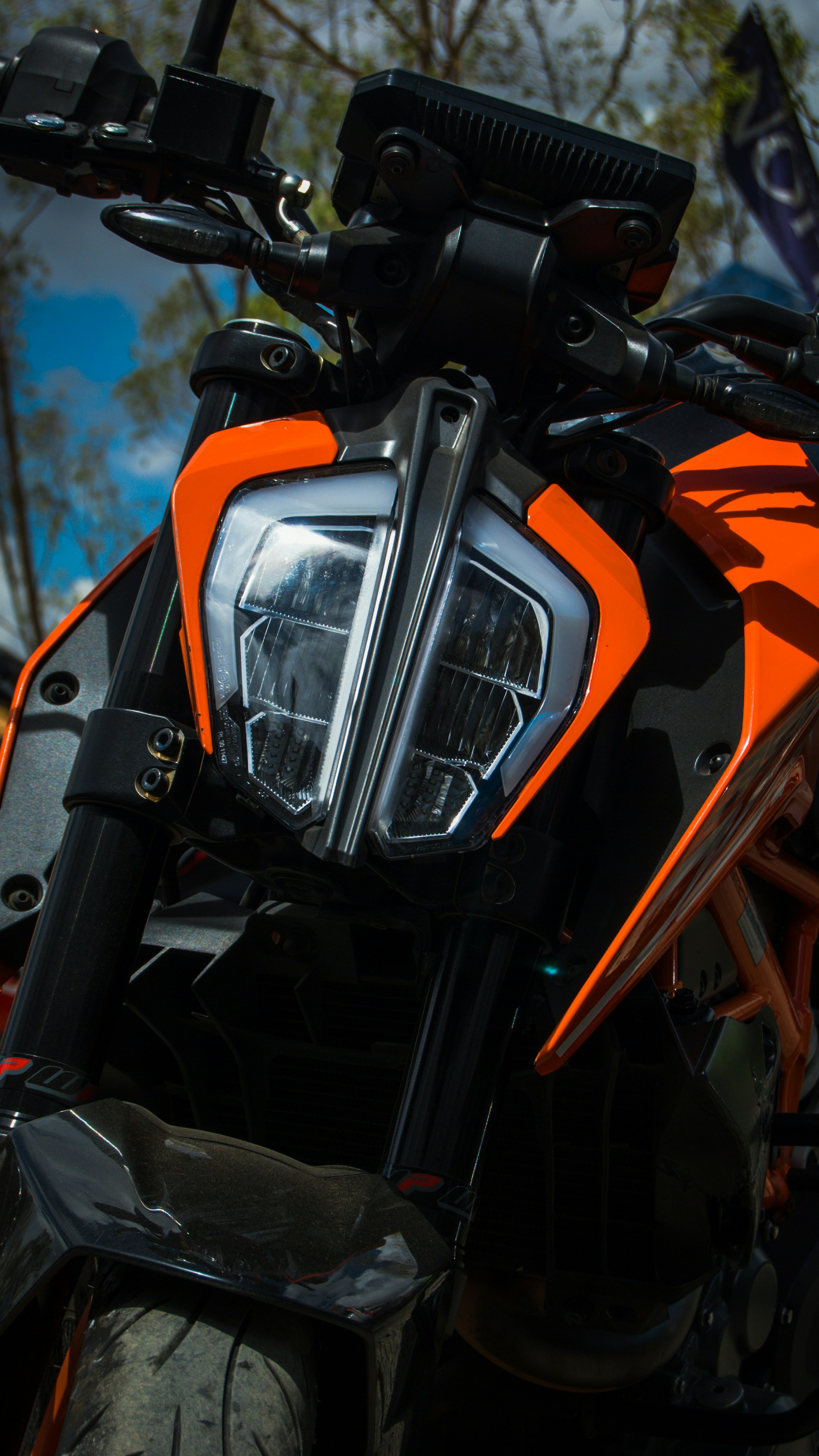 Photo by mcdonald_ammon