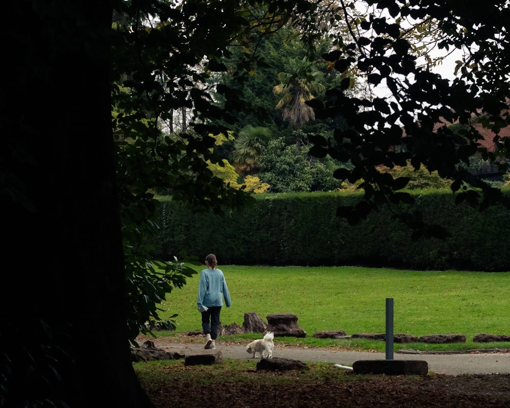 a person walking a dog in a park