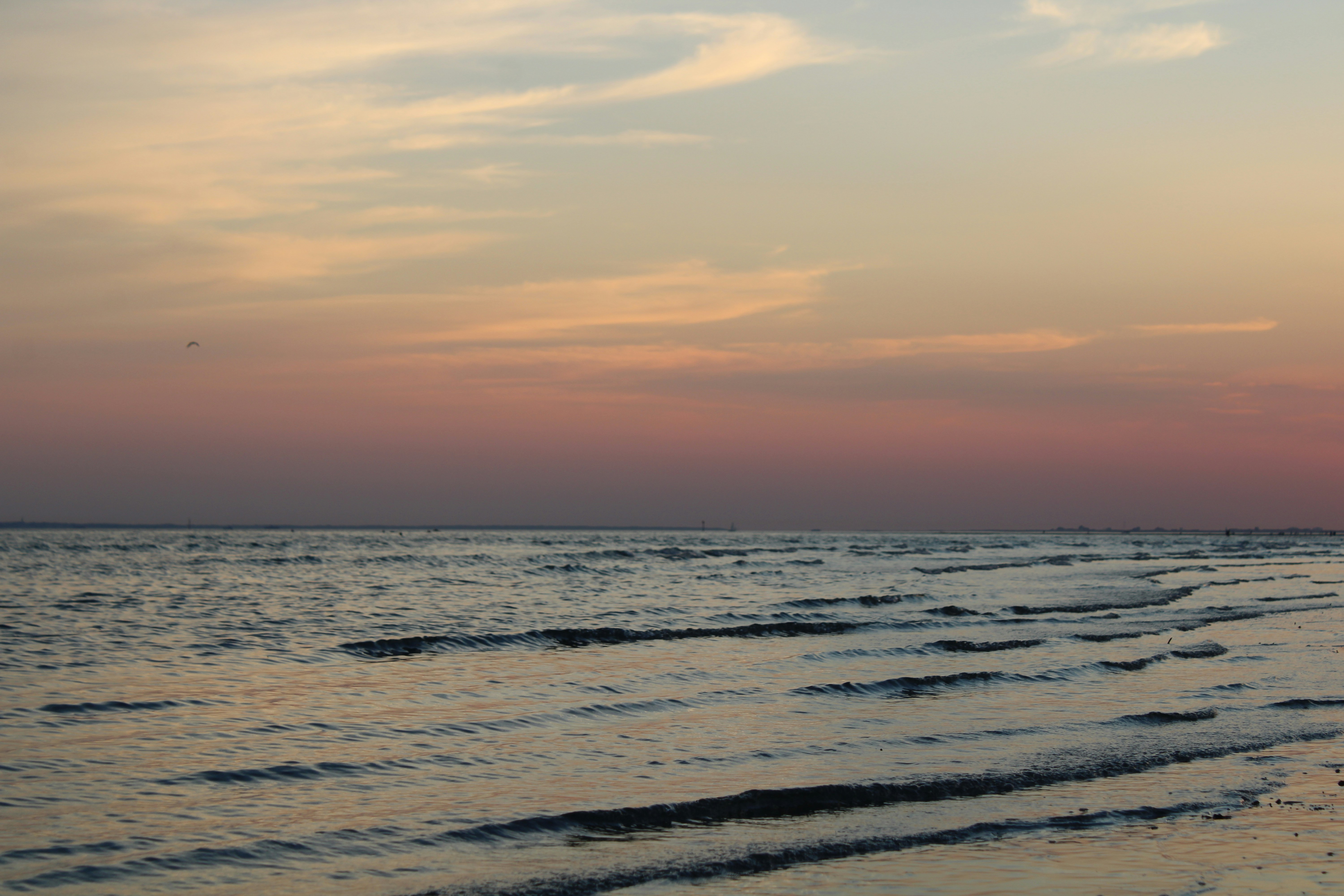 Photo by balesphotographyco