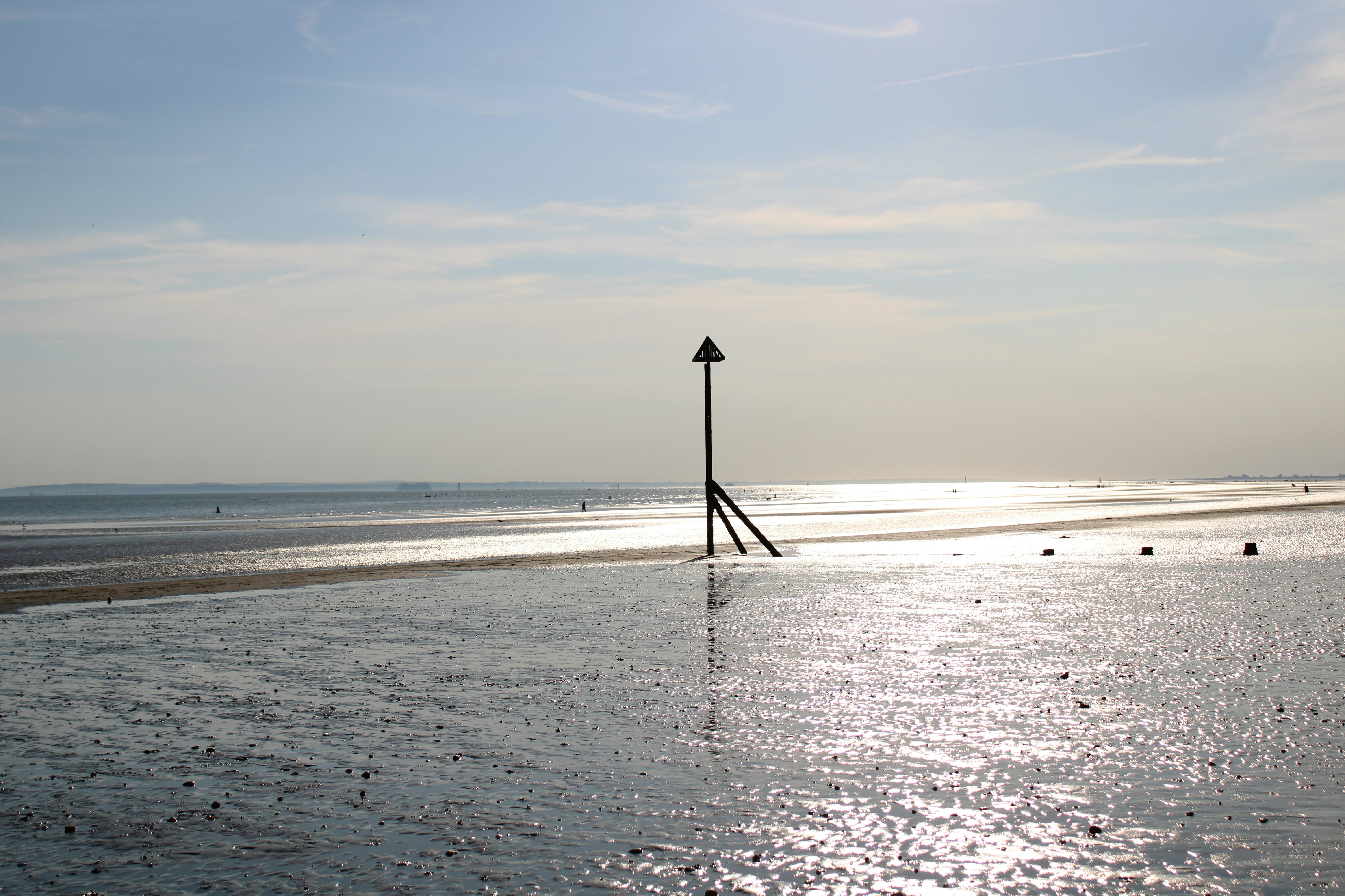 Photo by balesphotographyco