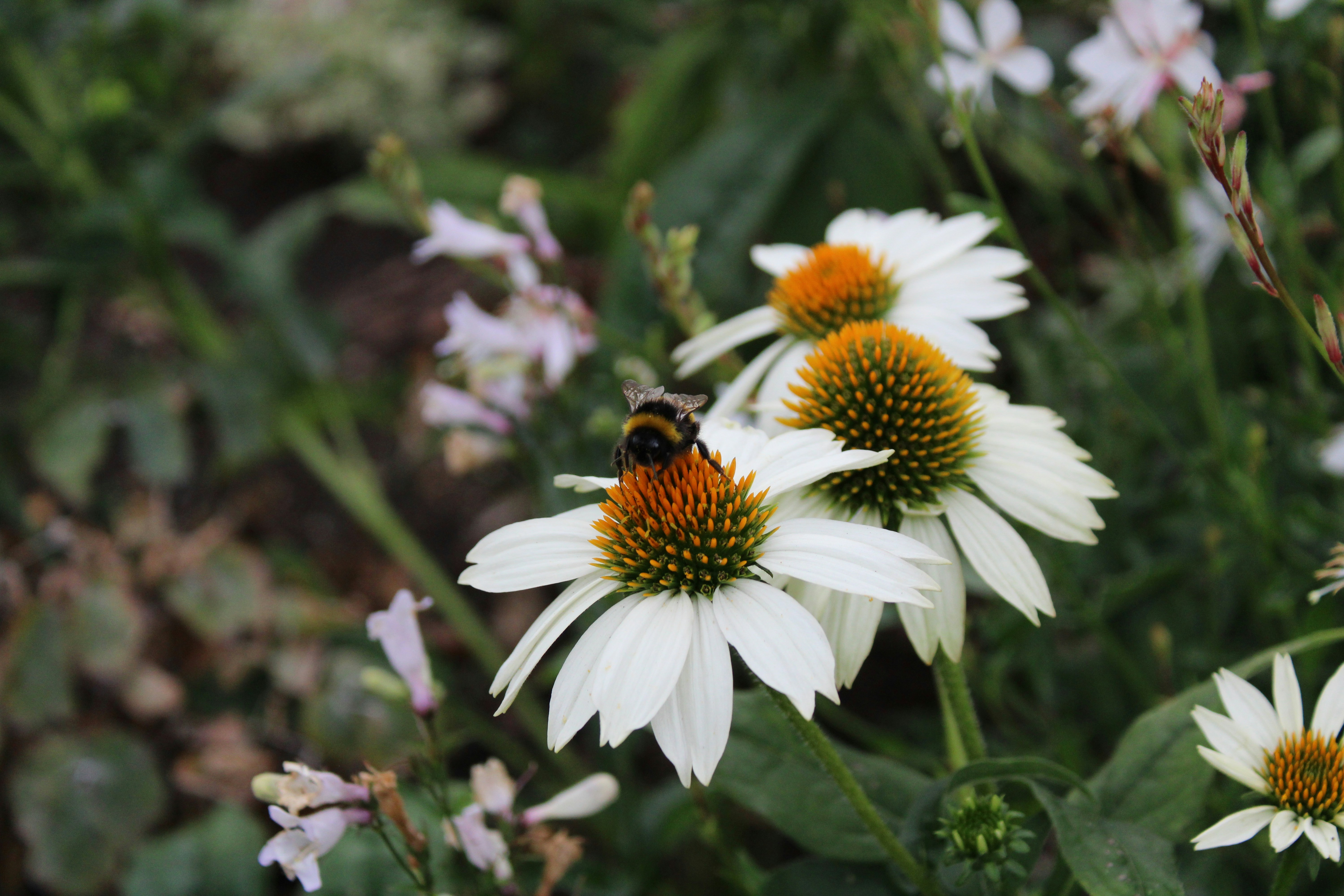 Photo by balesphotographyco