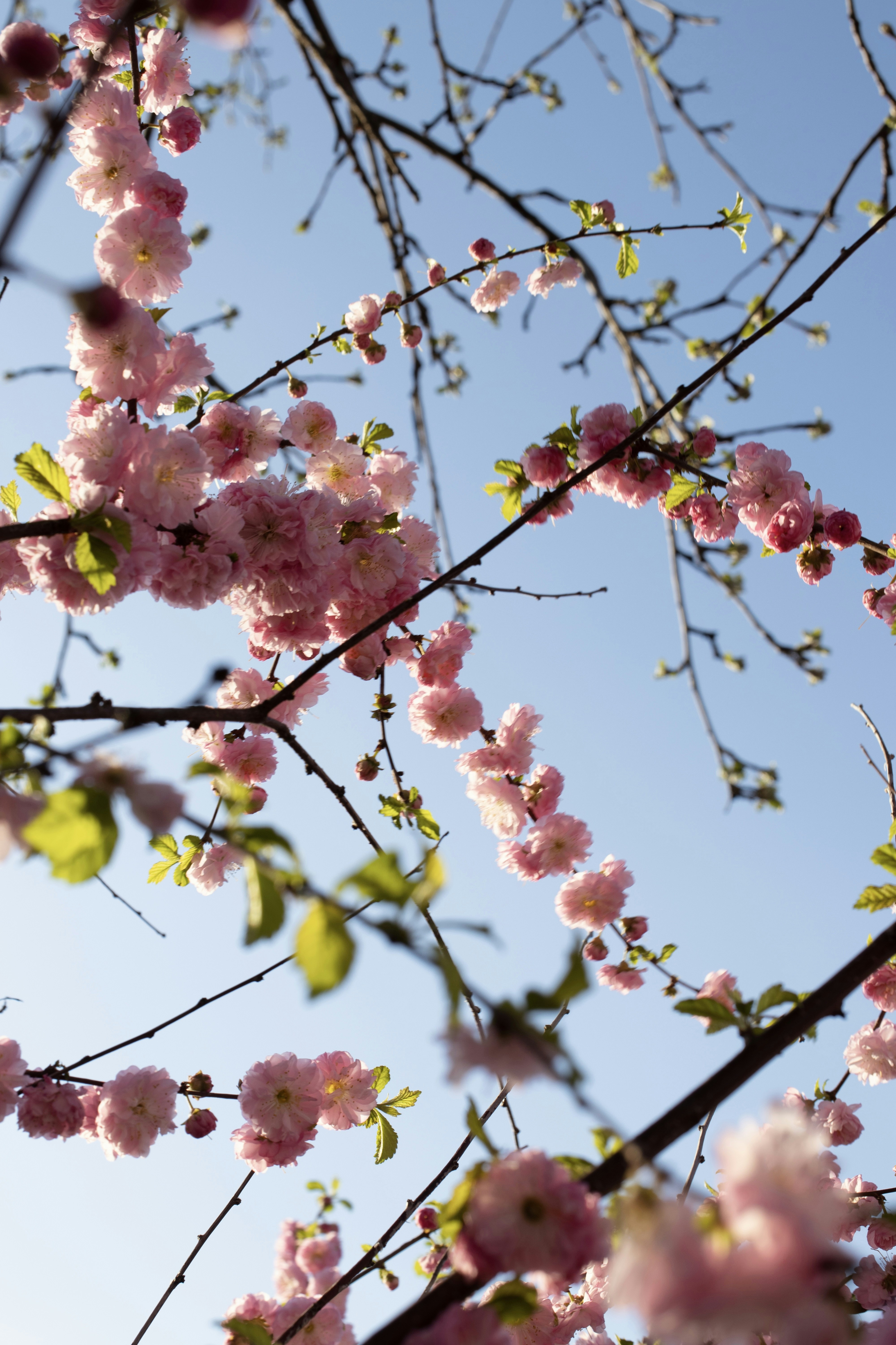 Photo by alina_sunwind