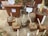A collection of potted succulents and cacti arranged on a burlap-covered table. Each plant is in a small terracotta pot and labeled with a wooden stick. The background features brickwork and more potted plants, creating a rustic, natural setting.