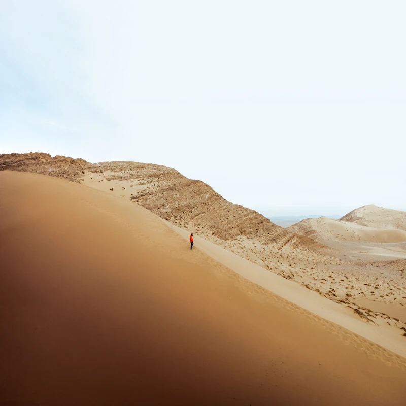 The Sahara regions