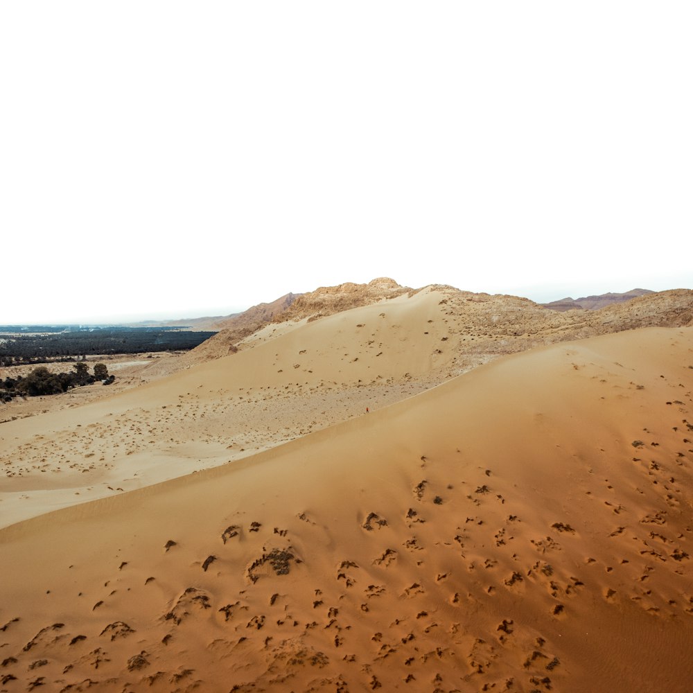 a sandy area with footprints