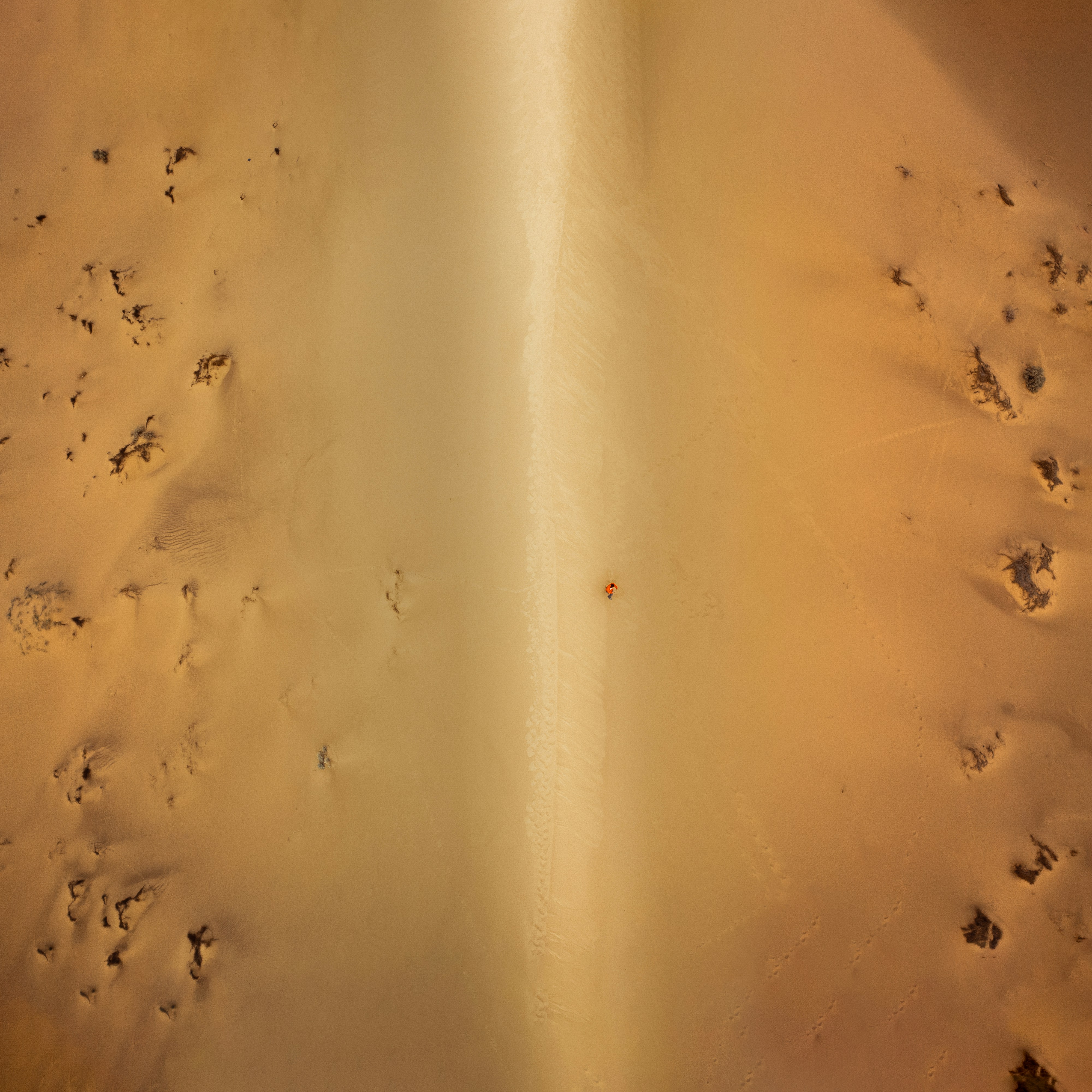 Le Sahara algérien