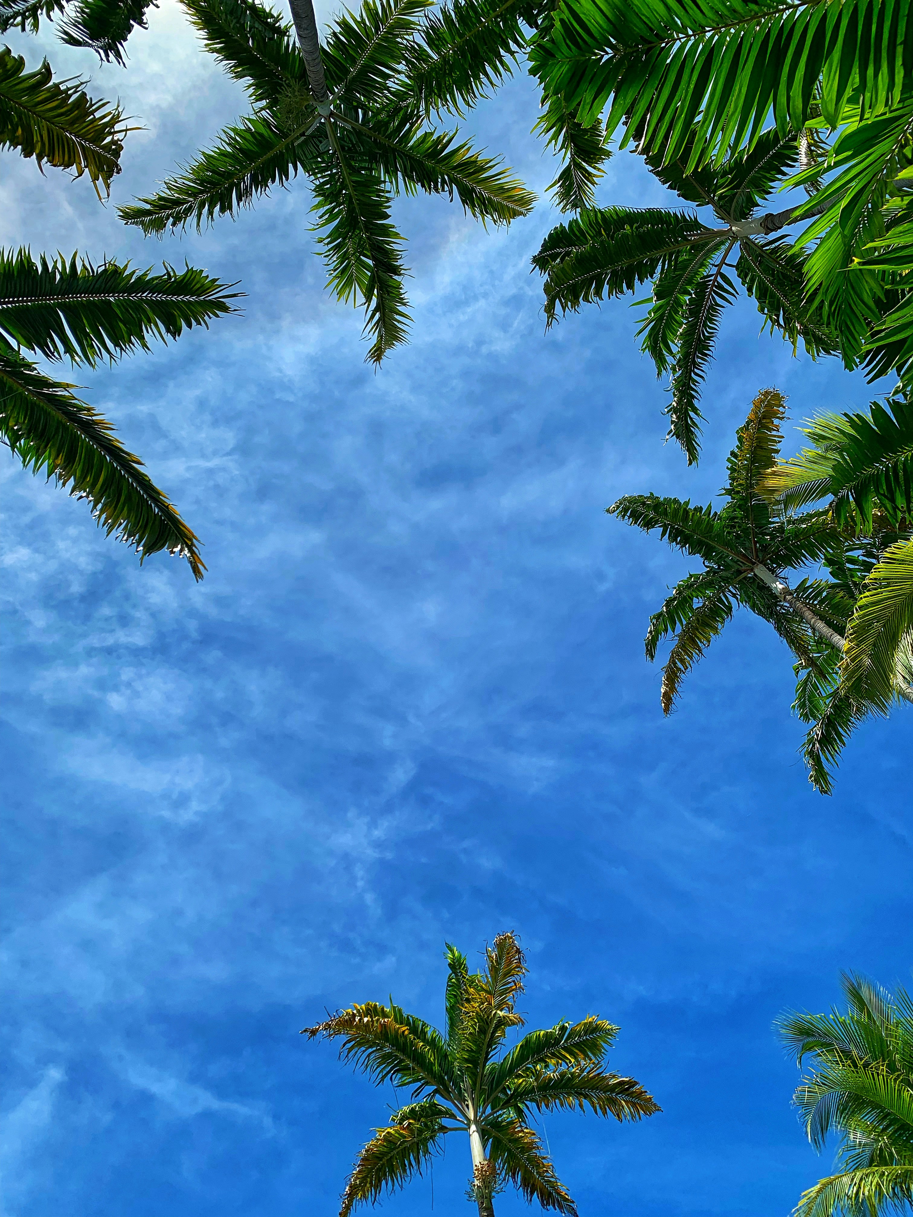 Photo by marianehayes