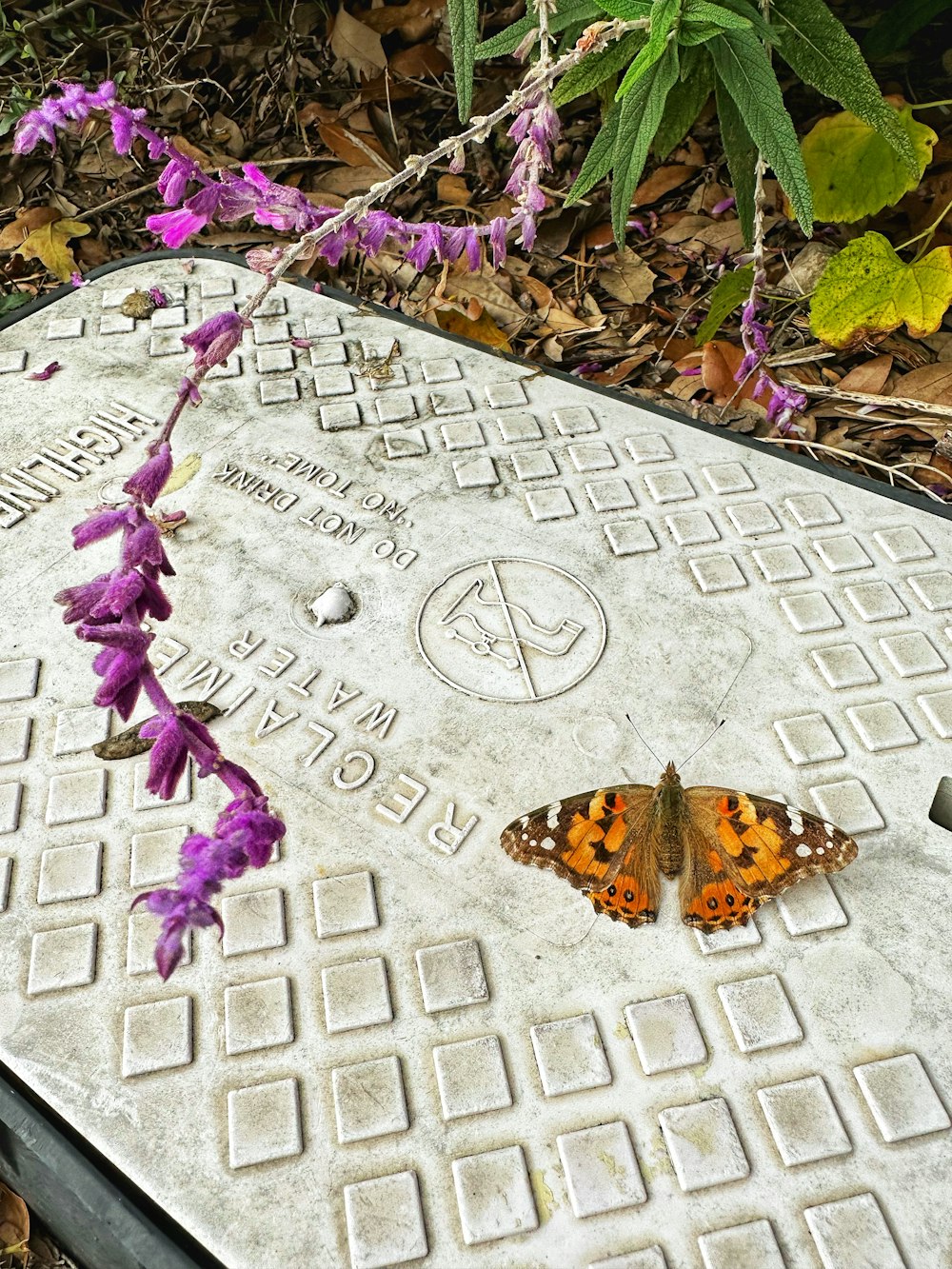 une pierre avec une fleur et un papillon dessus
