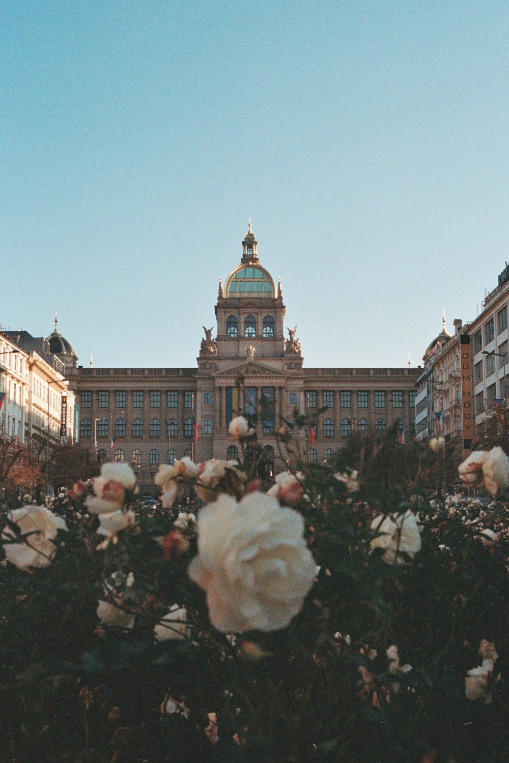 a building with many windows and flowers in front of it