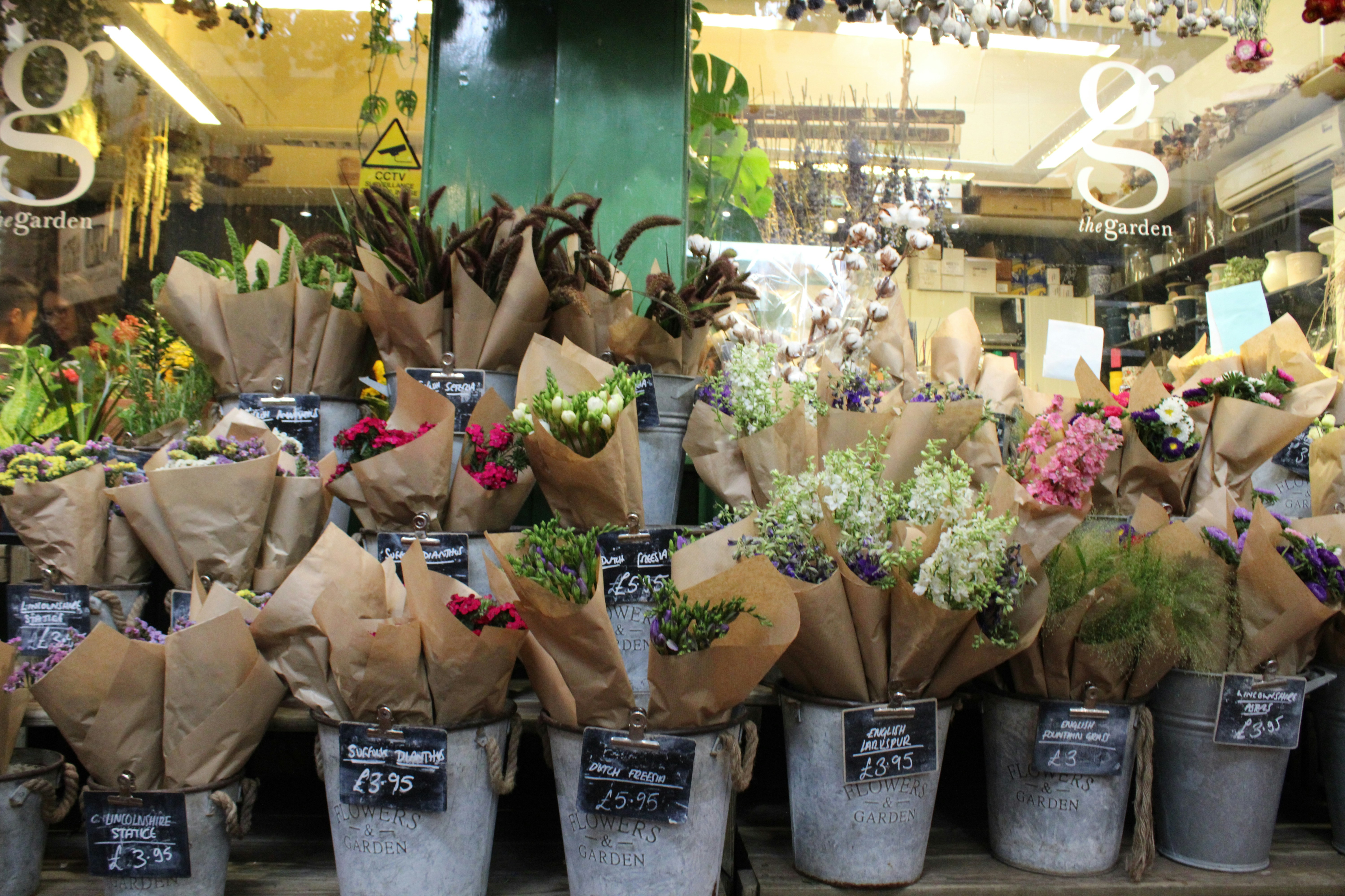 Photo by balesphotographyco