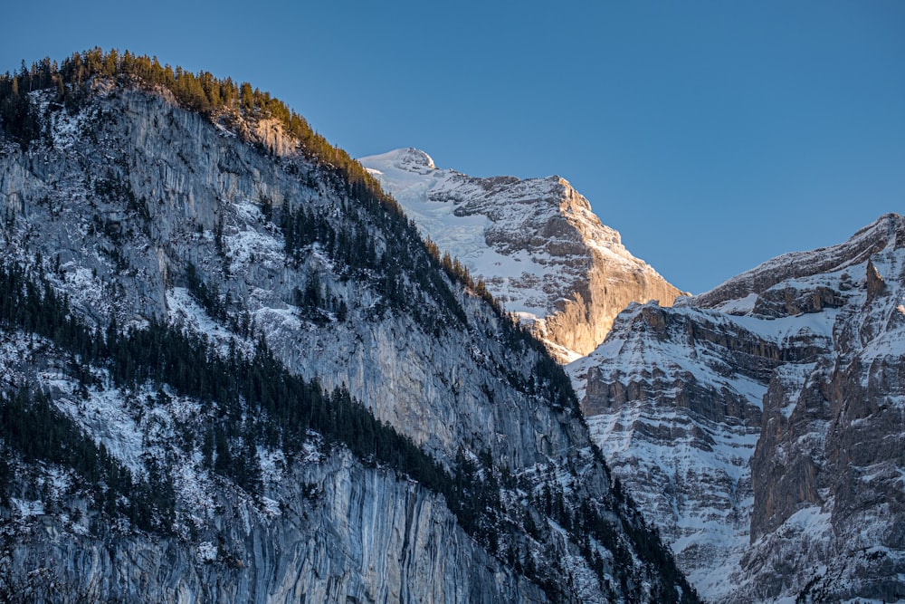 a snowy mountain with trees