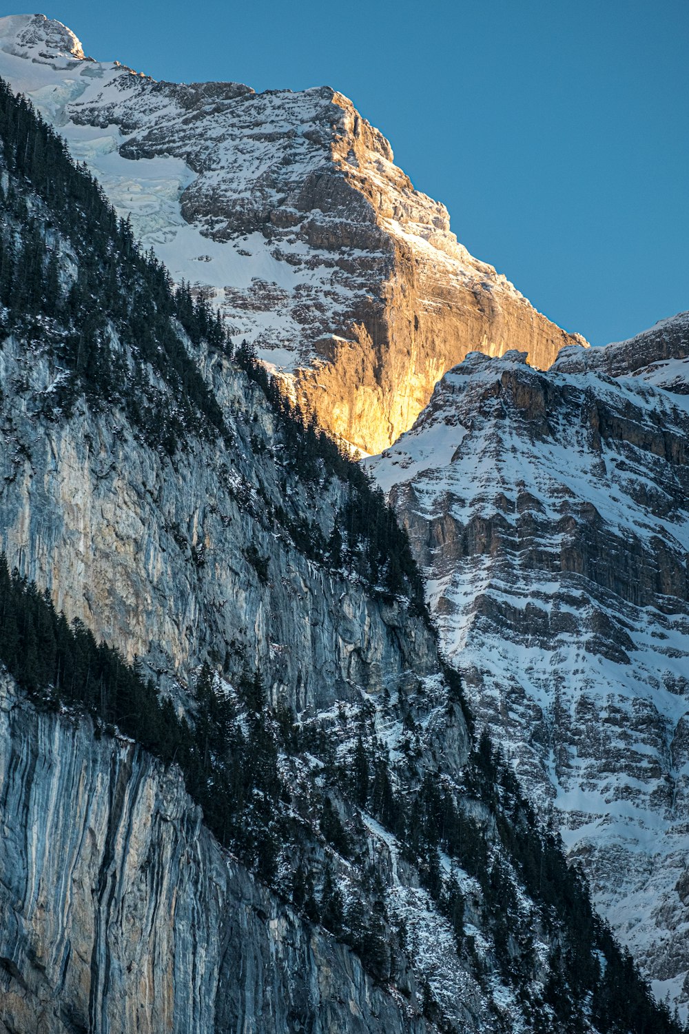 a snowy mountain with a blue sky