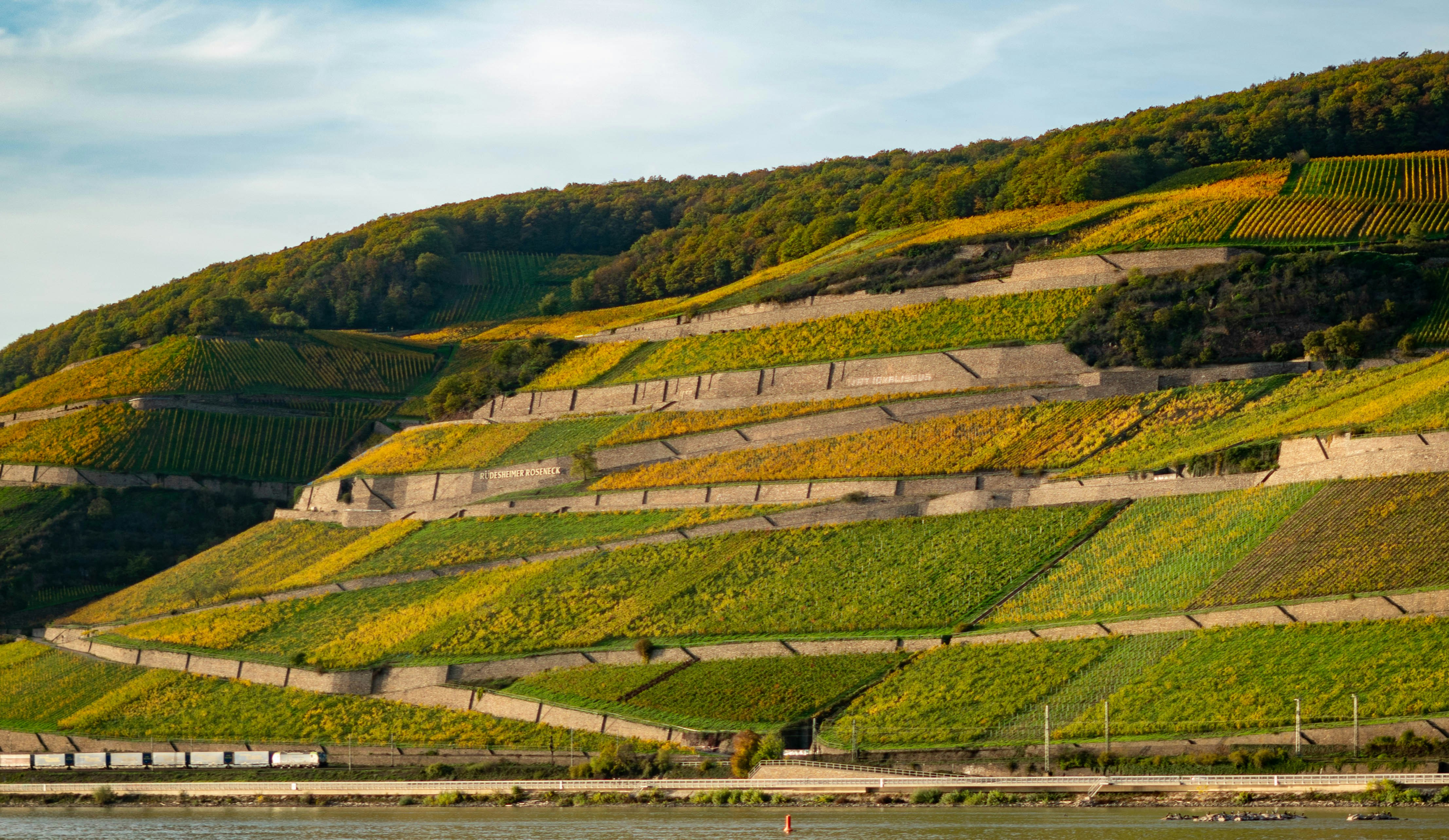 Photo by studentvier009