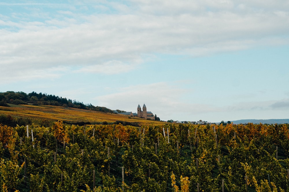 a castle on a hill