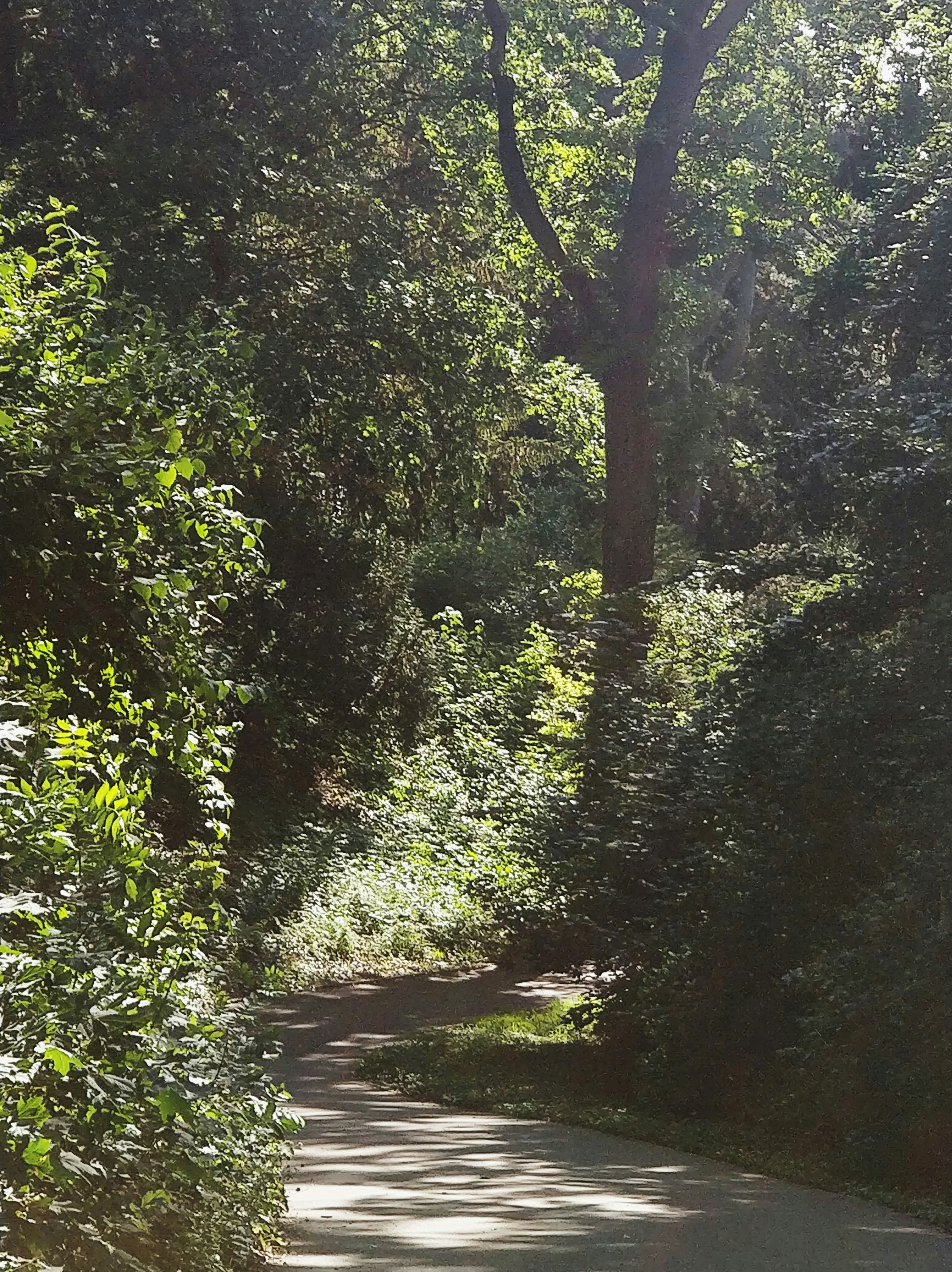 Photo by happylittlemantis