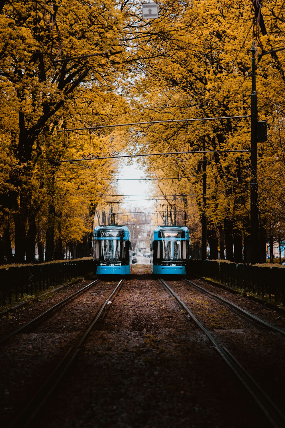 trains on the tracks