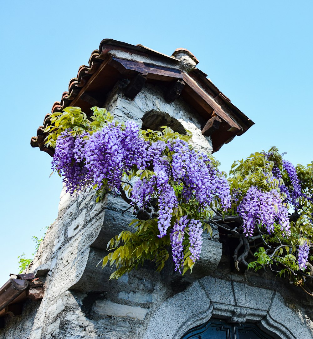 a building with flowers on the roof