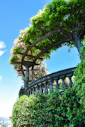 Marble balustrade on a sunny terrace with green plants around